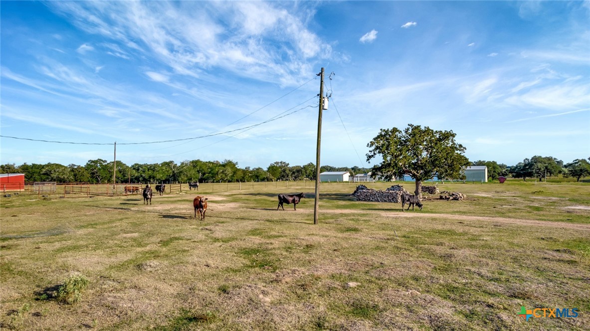 Hallettsville, Texas, 77964, United States, ,Land,For Sale,1989660