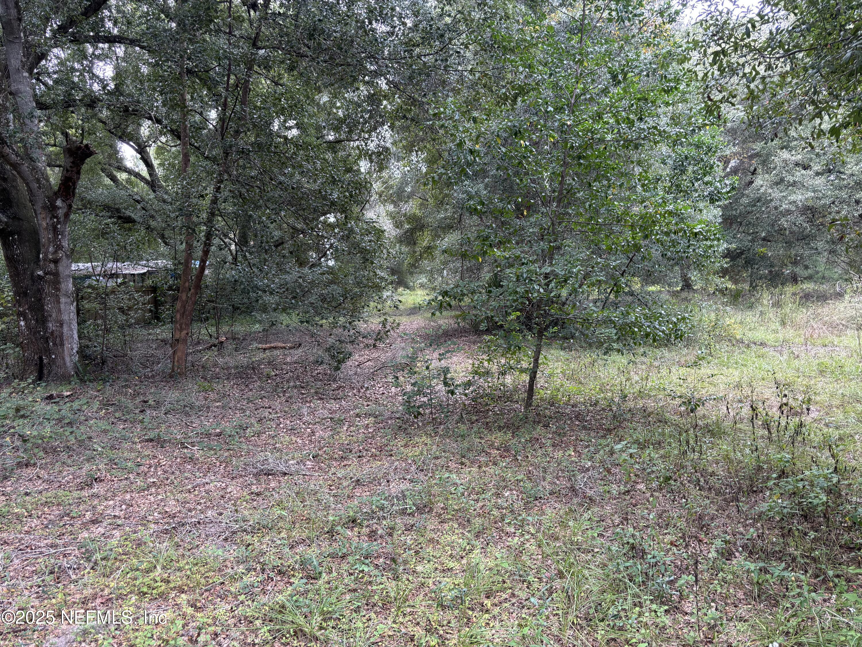 Apopka, Florida, 32712, United States, ,Land,For Sale,2002894