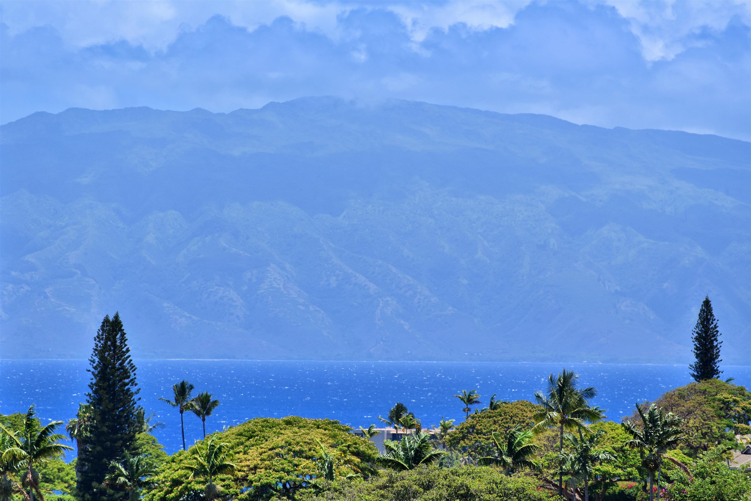 Lahaina, Hawaii, 96761-8774, United States, ,Land,For Sale,1883155