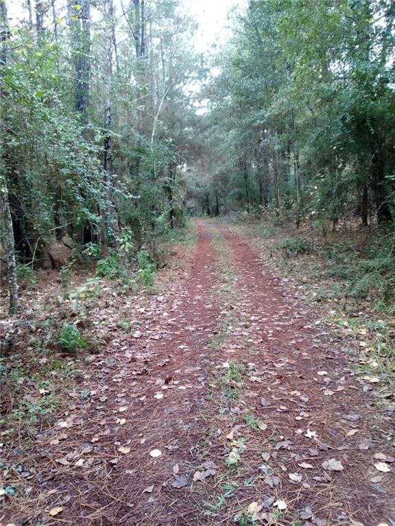 Bush, Louisiana, 70431, United States, ,Land,For Sale,1987560