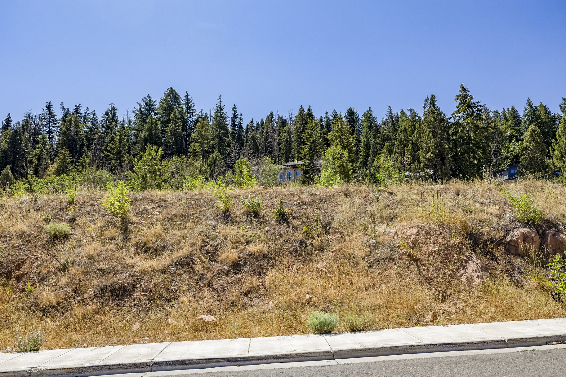 Discovery Ridge Luxury  Vaulted Design & Modern Mountain Living - 物件實景