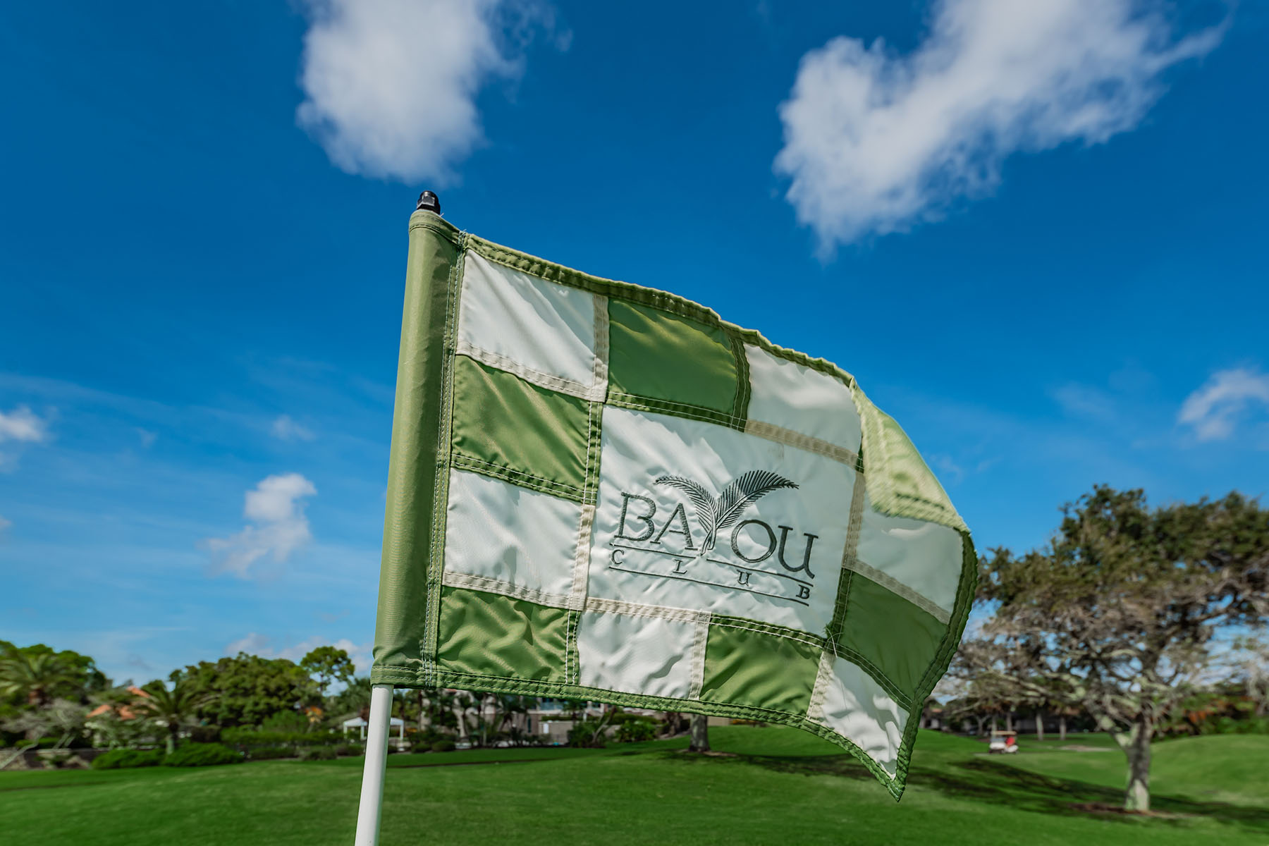  BAYOU CLUB ESTATES - 物件實景