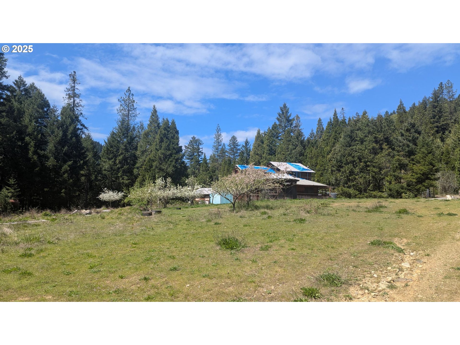 2999 Speaker Rd, Wolf Creek, Oregon, 97497, United States, 4 Bedrooms Bedrooms, ,4 BathroomsBathrooms,Residential,For Sale,2999 Speaker Rd,1659471