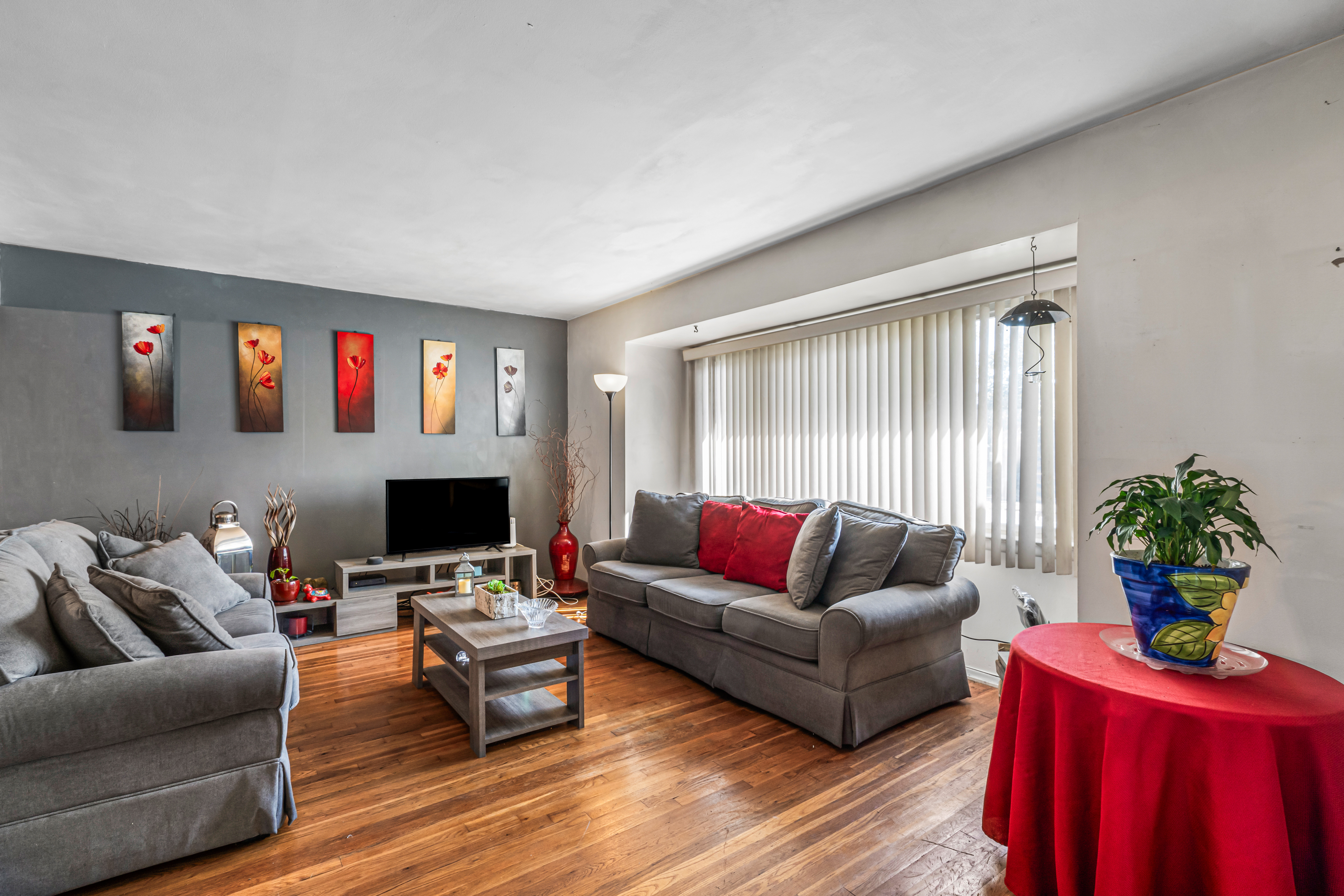  221-51 Braddock Avenue, Queens Village, NY, 11427 - 物件實景