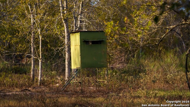 Other, 11111, United States, ,Land,For Sale,1951420