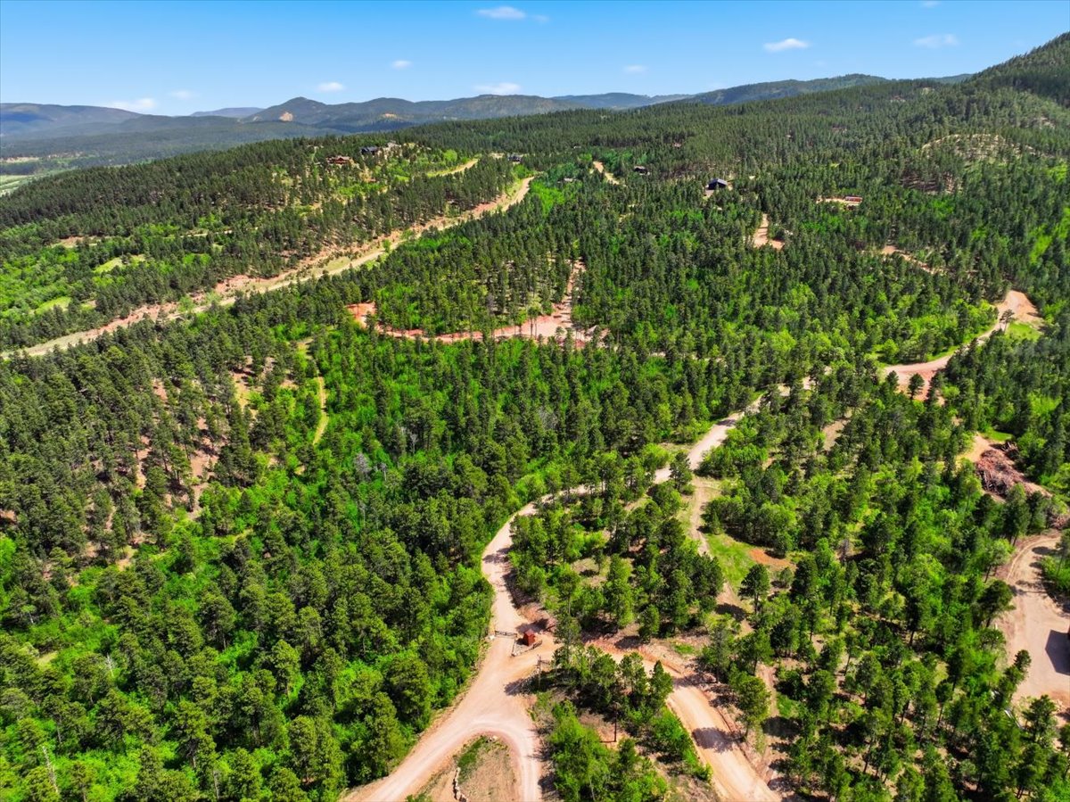 Spearfish, South Dakota, 57783, United States, ,Land,For Sale,2048171