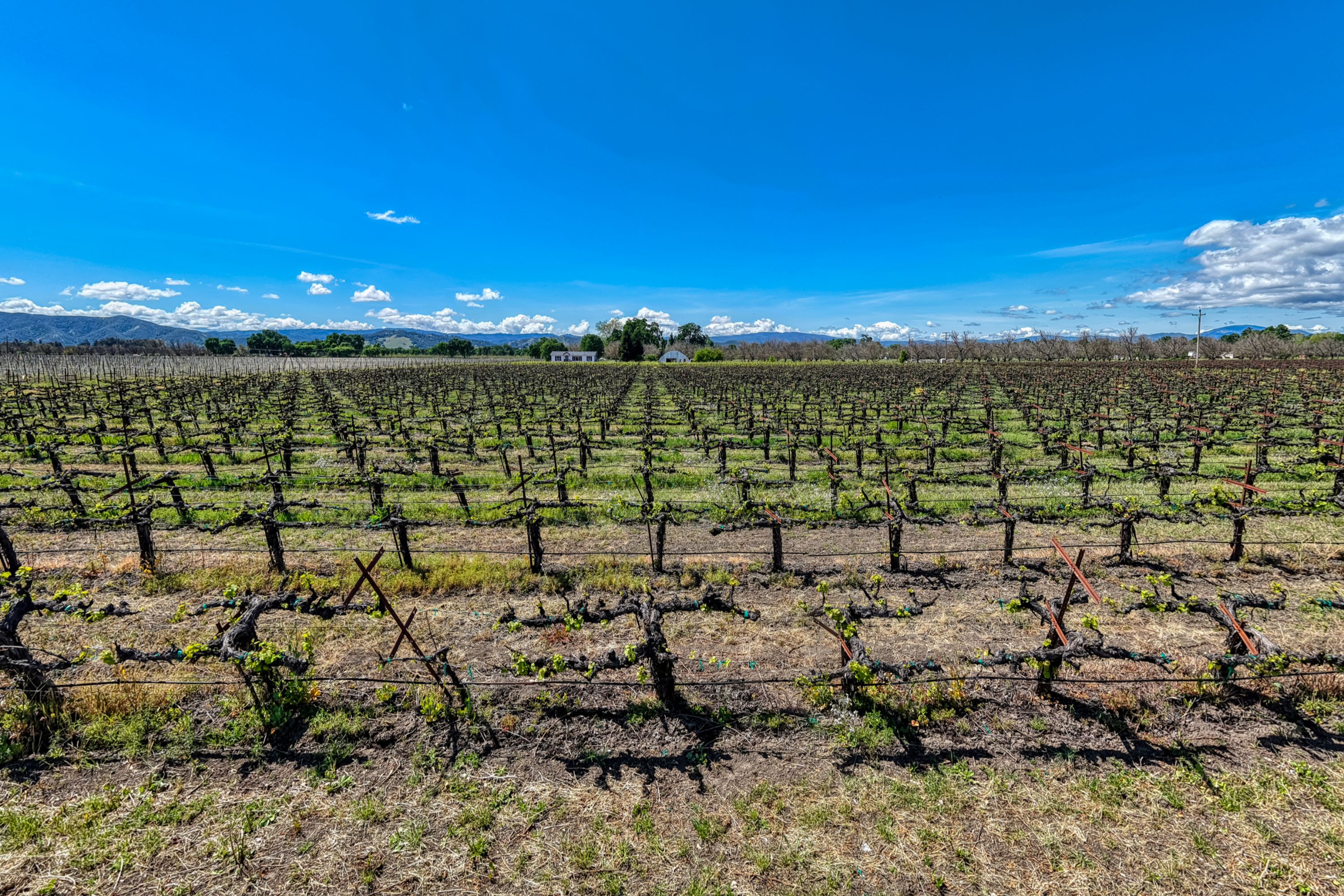  Lake County: The Place to Be - 物件實景