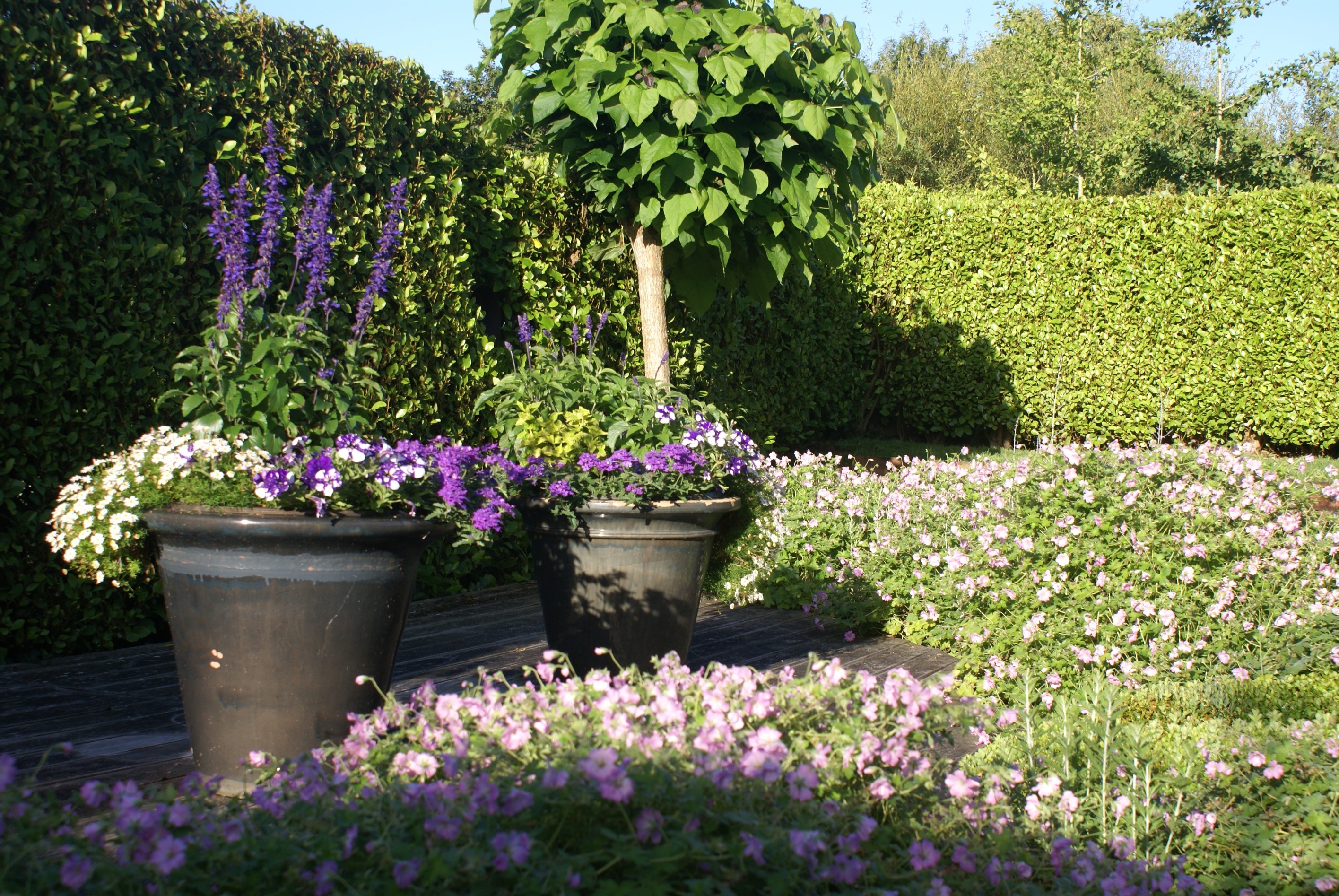  Amazing property with luxurious remarkable garden in the Tregor region - 物件實景