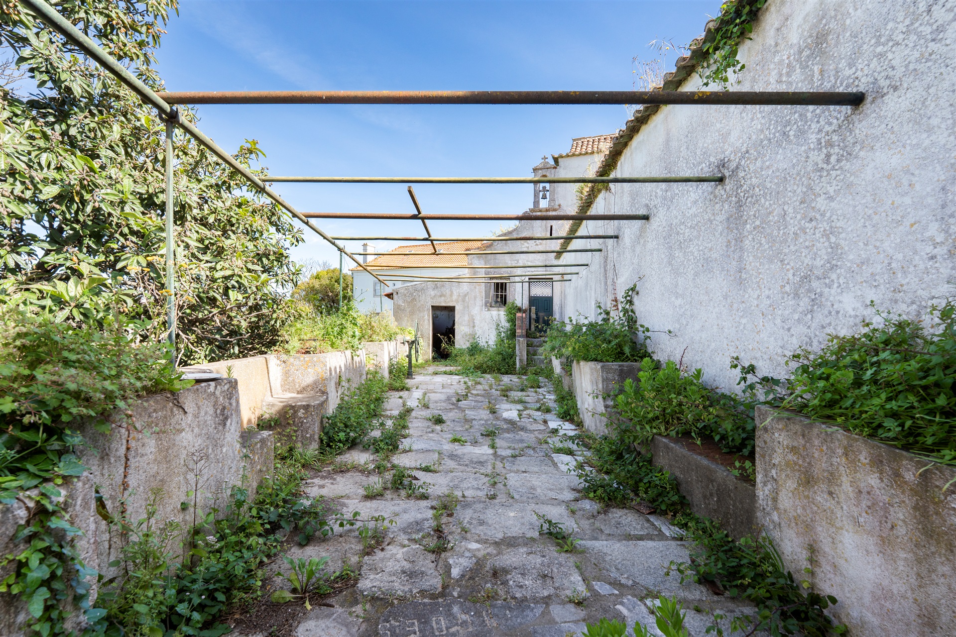  Farm for Sale - 物件實景