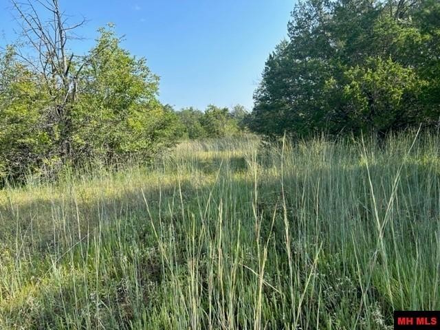 001-05276-003 INVERNESS DRIVE, Mountain Home, Arkansas, 72653, United States, ,Residential,For Sale,001-05276-003 INVERNESS DRIVE,1333567