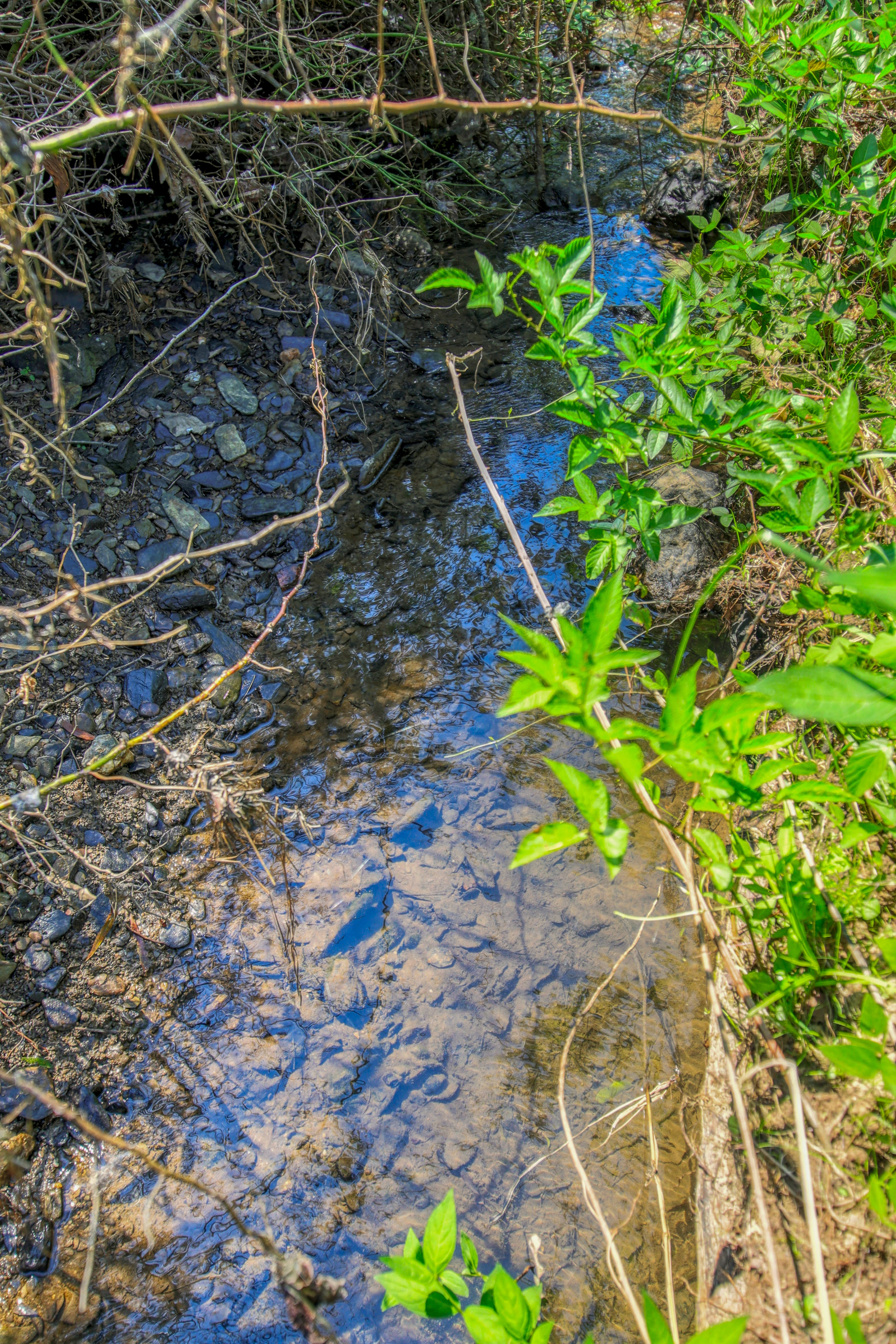  Belcher Loop, Tellico Plains, TN 37385 - 物件實景