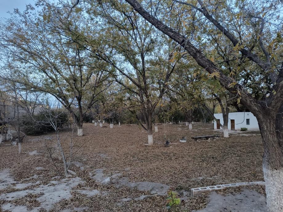 Parras, Coahuila de Zaragoza, 27980, Mexico, 4 Bedrooms Bedrooms, ,6 BathroomsBathrooms,Residential,For Sale,1695976