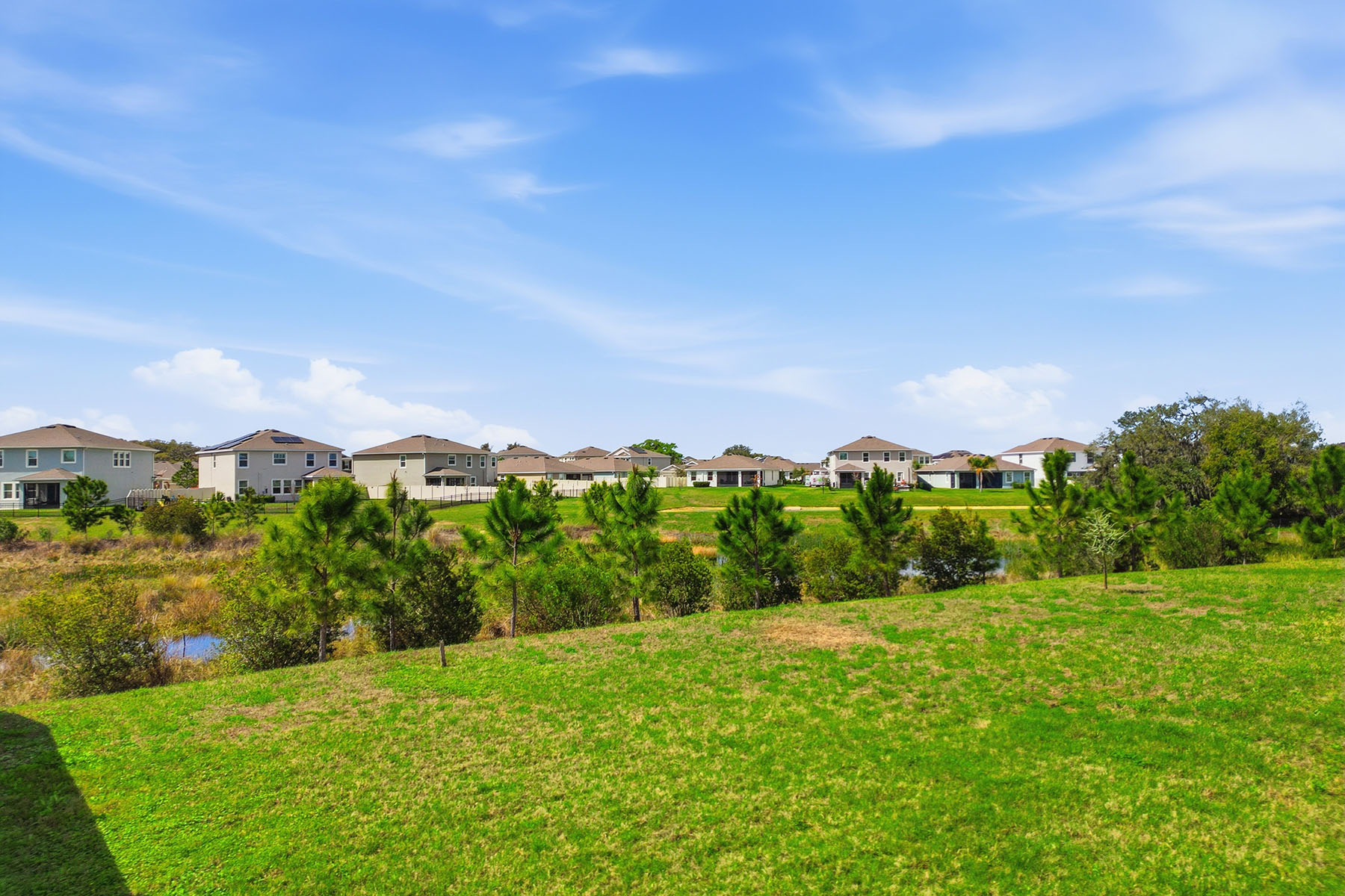  TAMPA - 物件實景