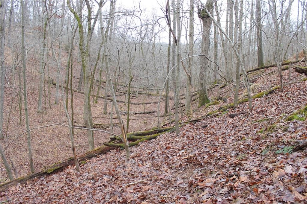 Rogers, Arkansas, 72756, United States, ,Land,For Sale,1966803