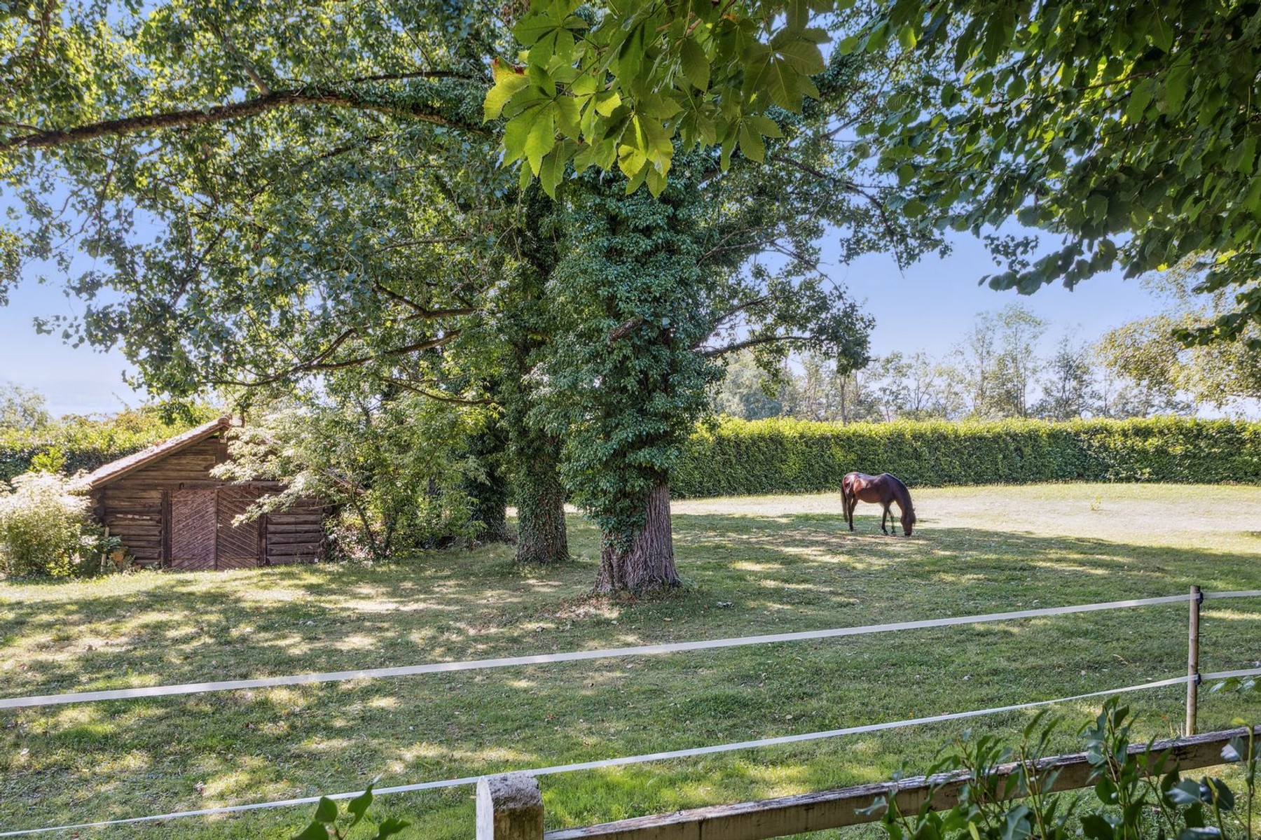 An exceptional equestrian estate that blends nature, elegance, and freedom - 物件實景