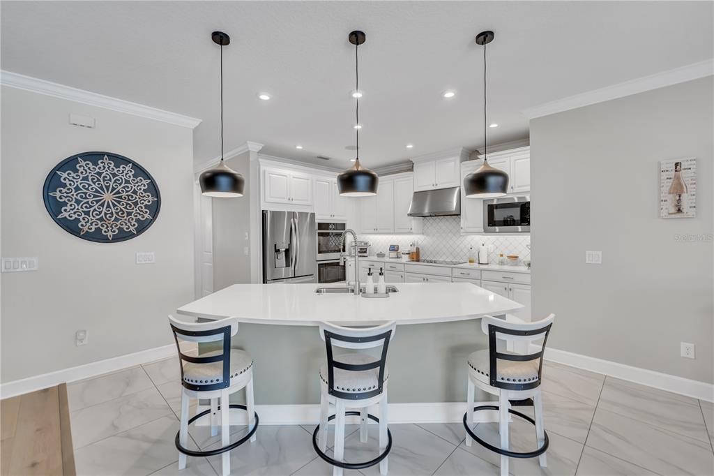 Wesley Chapel, Florida, 33545, United States, 4 Bedrooms Bedrooms, ,4 BathroomsBathrooms,Residential,For Sale,1892206