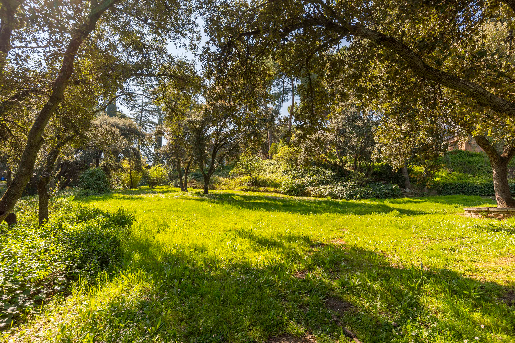  Wonderful hectare plot in La Moraleja - 物件實景