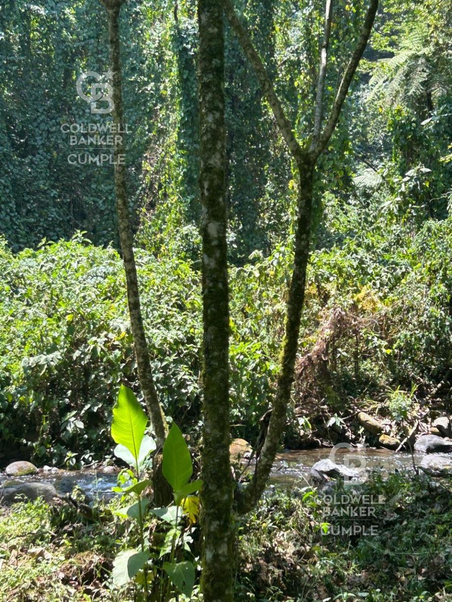Tlalnelhuayocan, Veracruz de Ignacio de la Llave, 91230, Mexico, 1 Bedroom Bedrooms, ,Residential,For Sale,1829340