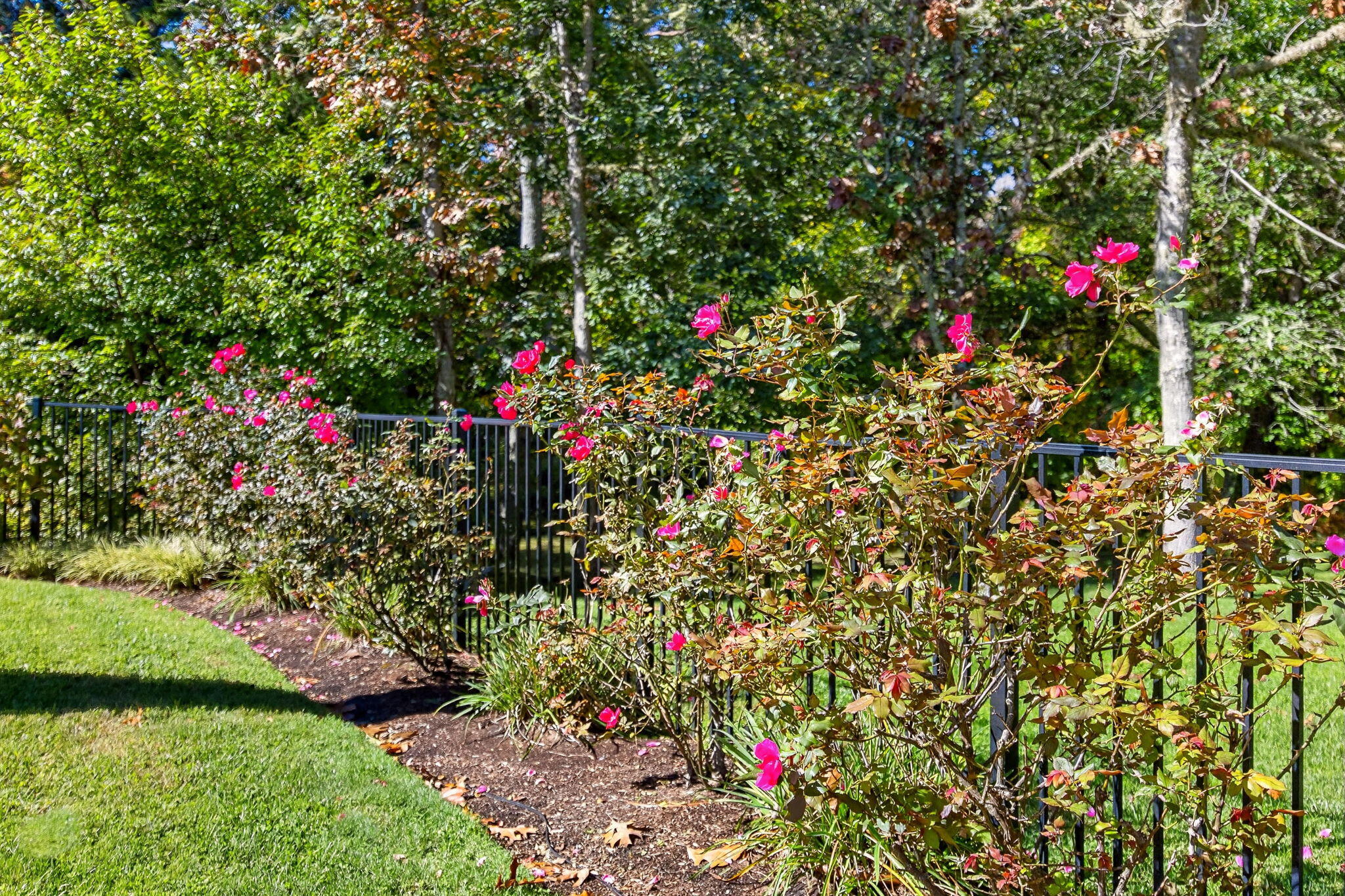  30 Chestnut Drive, Orleans, MA, 02653 - 物件實景