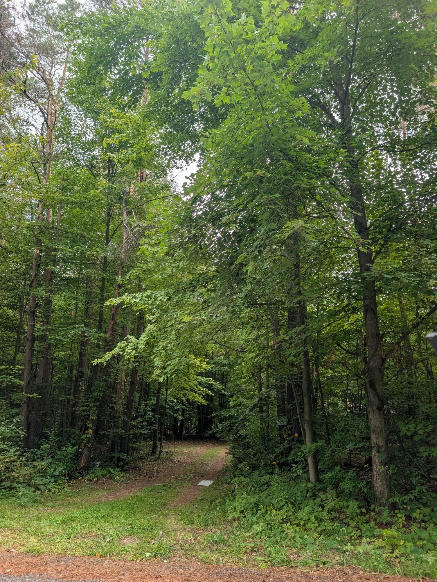Heintzelman Ave, Cedar Springs, MI 49319
