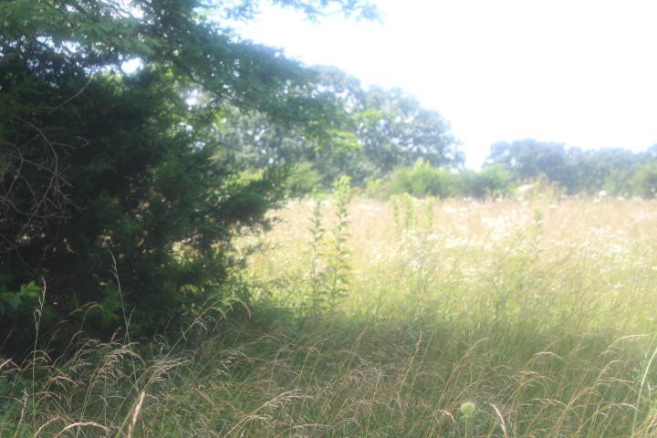 Polk, Missouri, 65727, United States, ,Land,For Sale,1980569