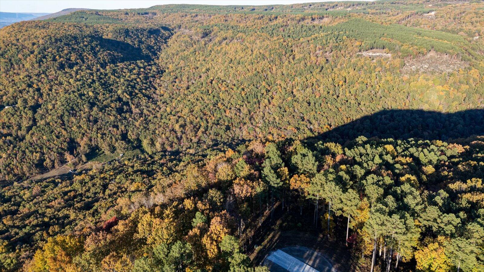 Guild, Tennessee, 37340, United States, ,Land,For Sale,1986106