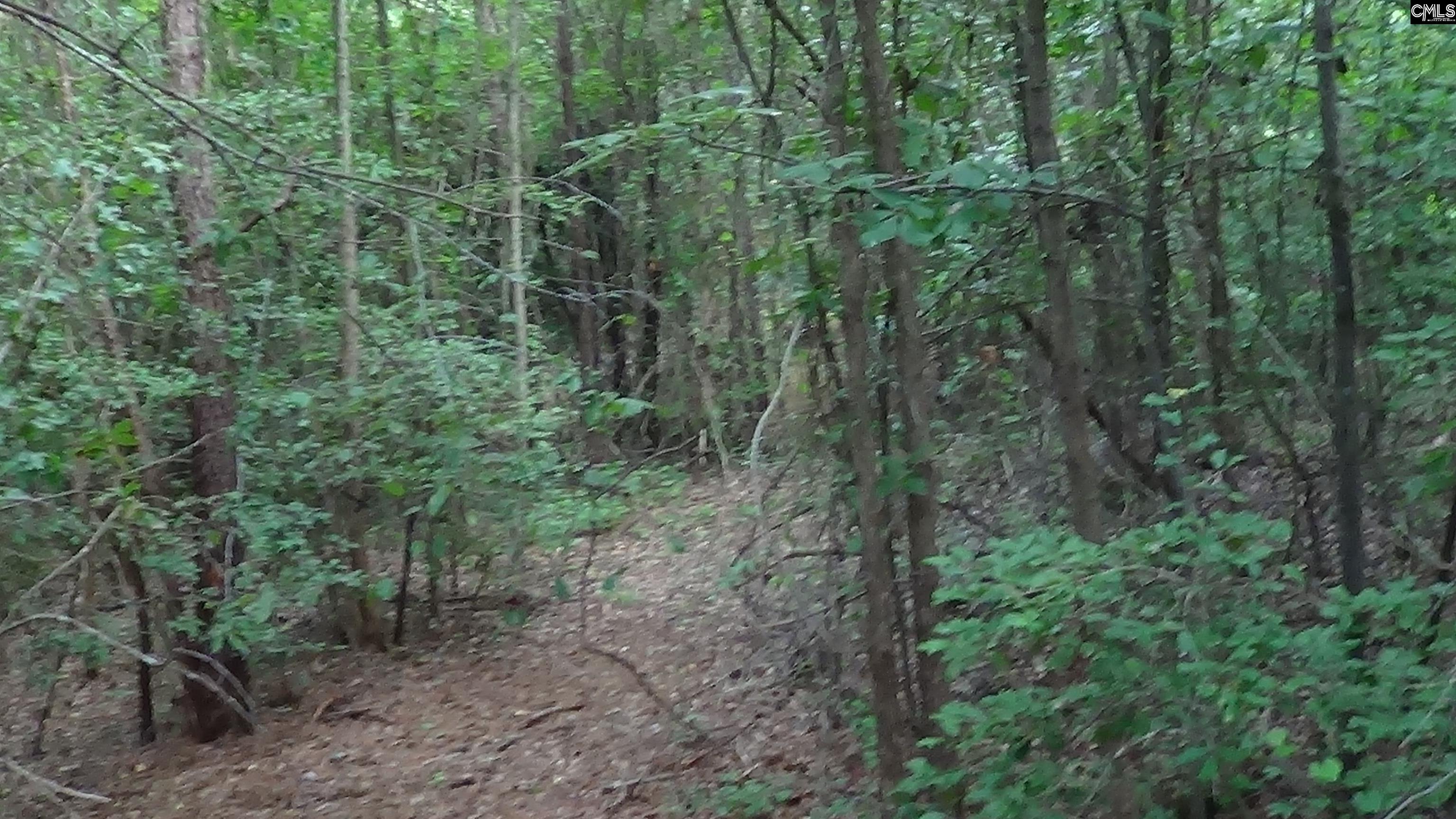 Elgin, South Carolina, 29045, United States, ,Land,For Sale,1891248