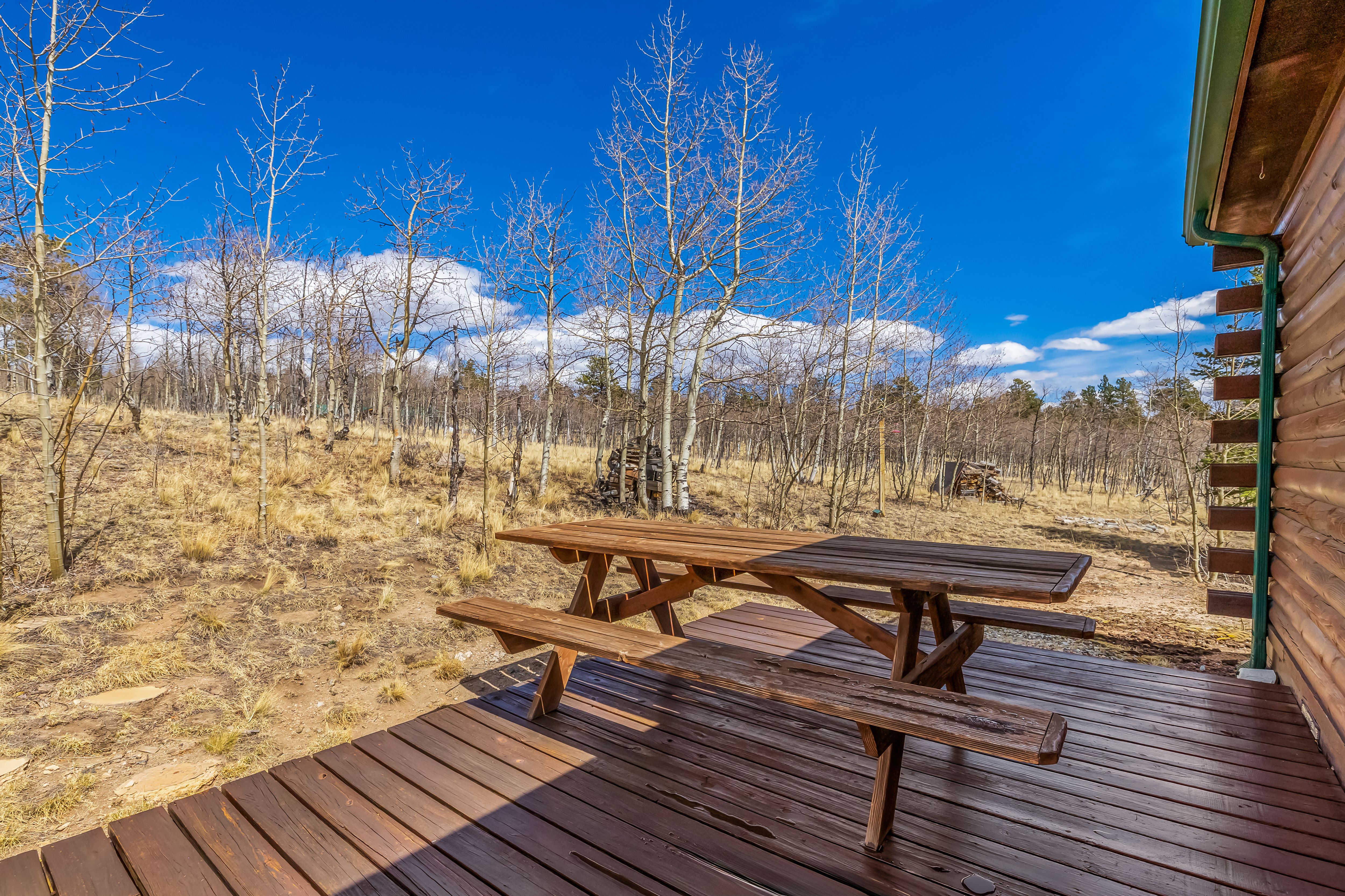  1319 Kiowa Street, Jefferson, CO, 80456 - 物件實景