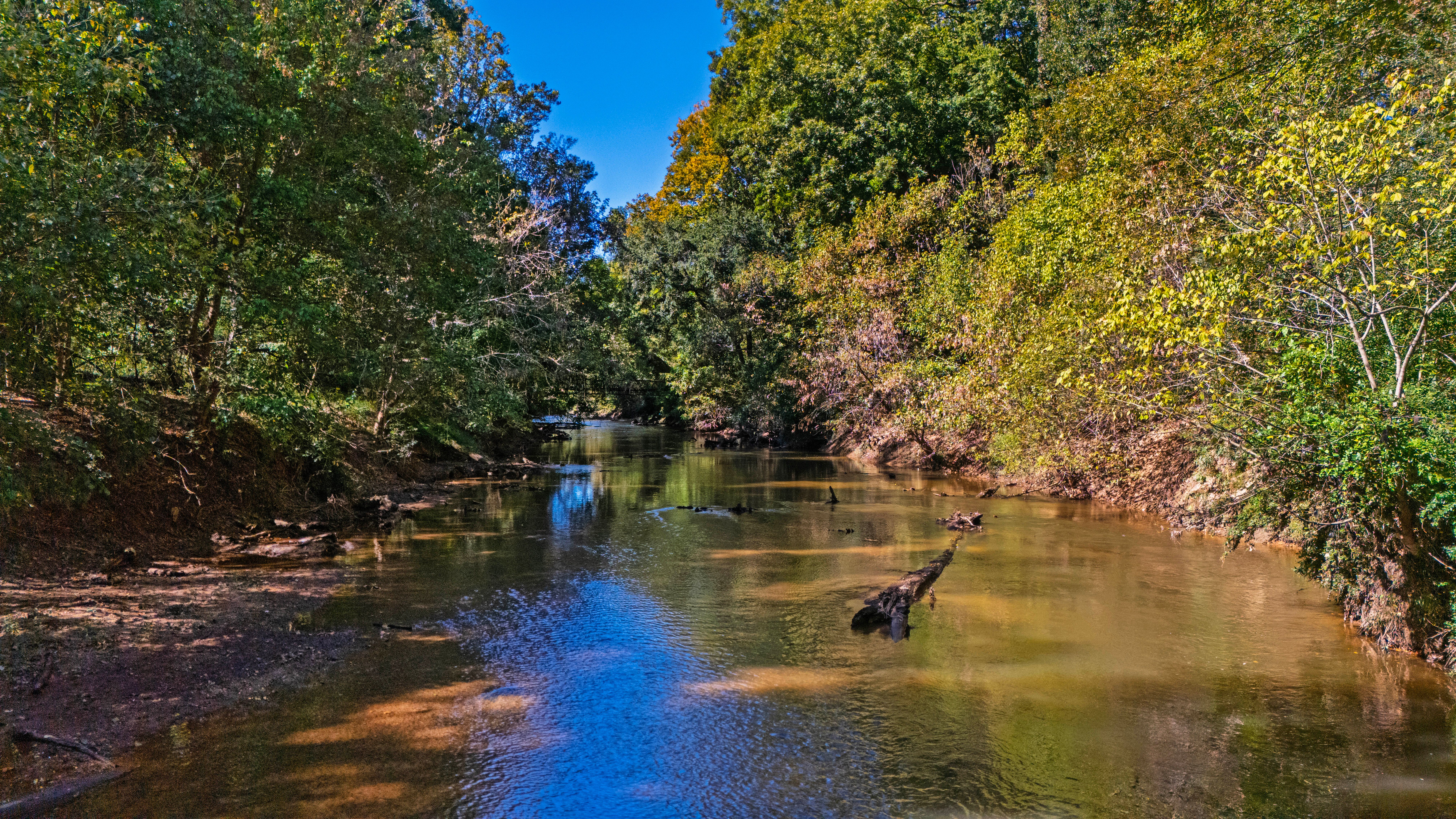  2845 Claremont Road, Raleigh, NC 27608 - 物件實景