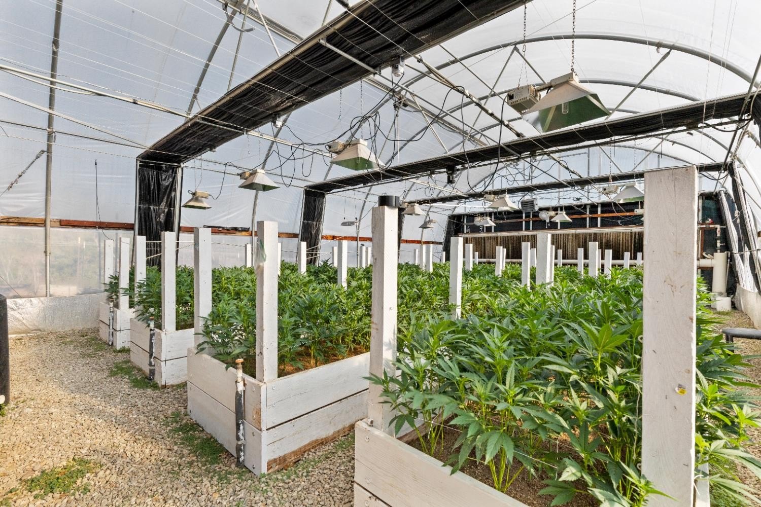 Mountain Ranch, California, 95246, United States, ,Land,For Sale,1981446