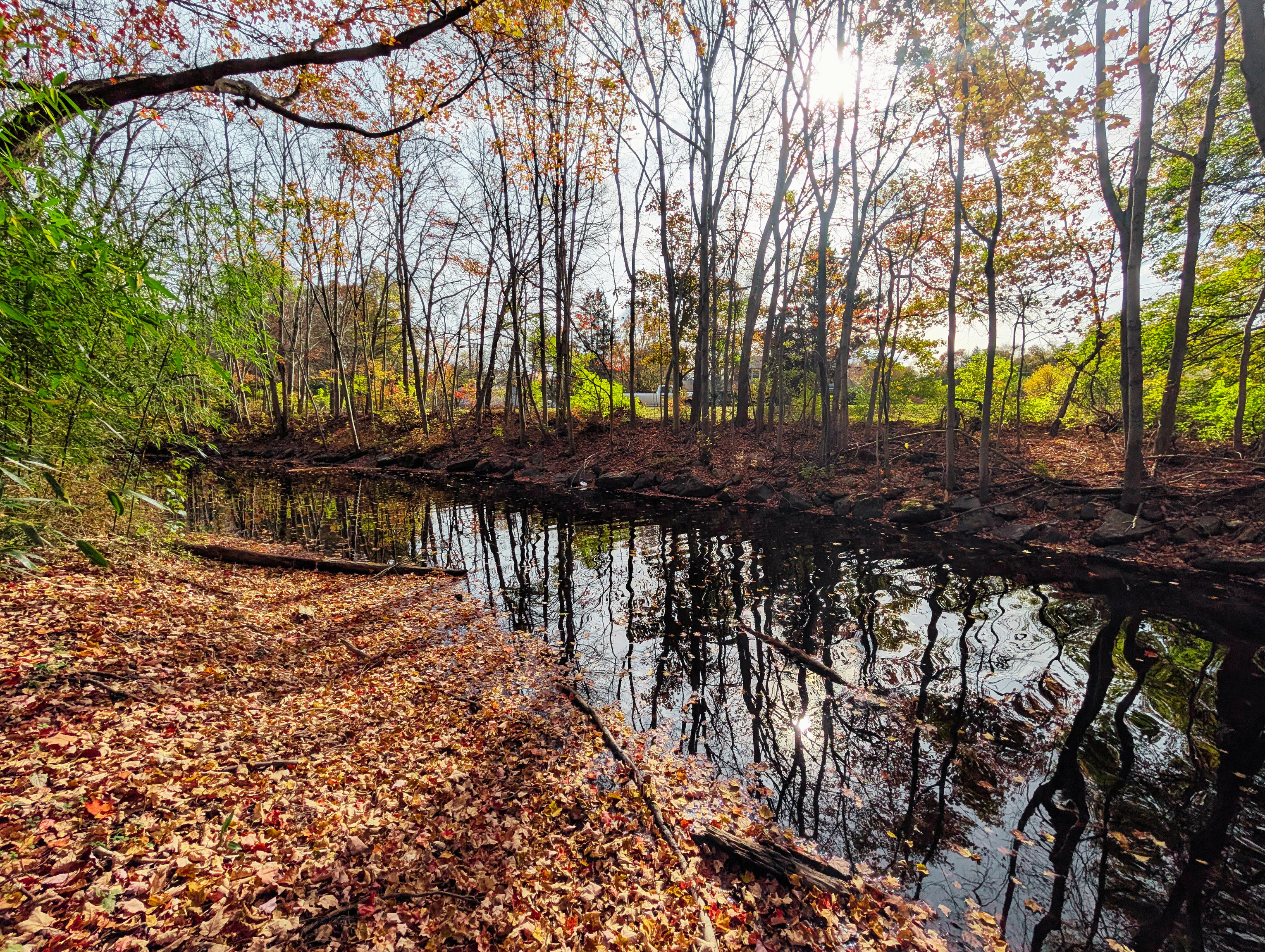 Shelton, Connecticut, 06484, United States, 3 Bedrooms Bedrooms, ,2 BathroomsBathrooms,Residential,For Sale,1996046