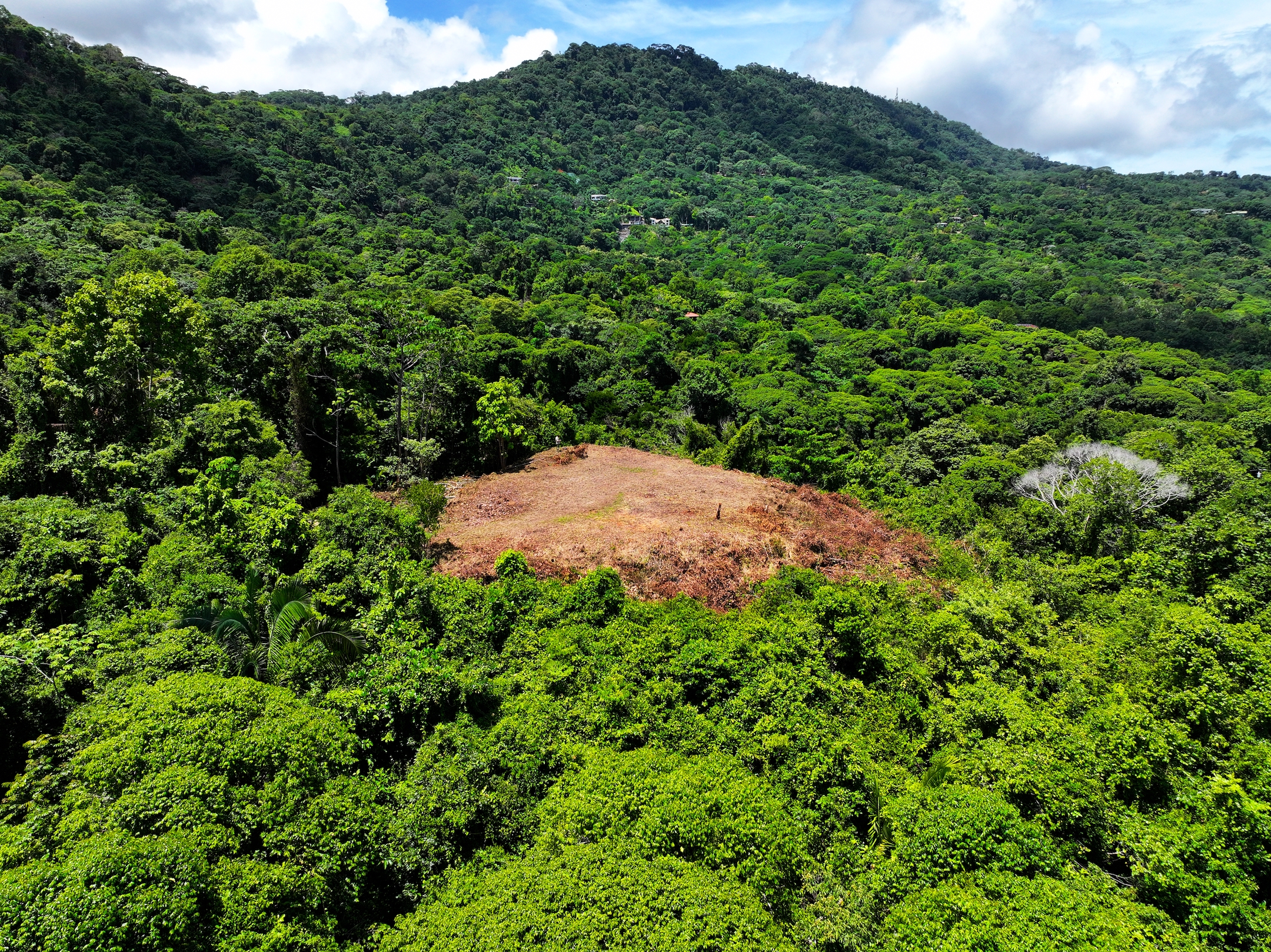 Dominicalito, Dominical, Puntarenas, CR, ,Land,For Sale,Dominicalito,1586705