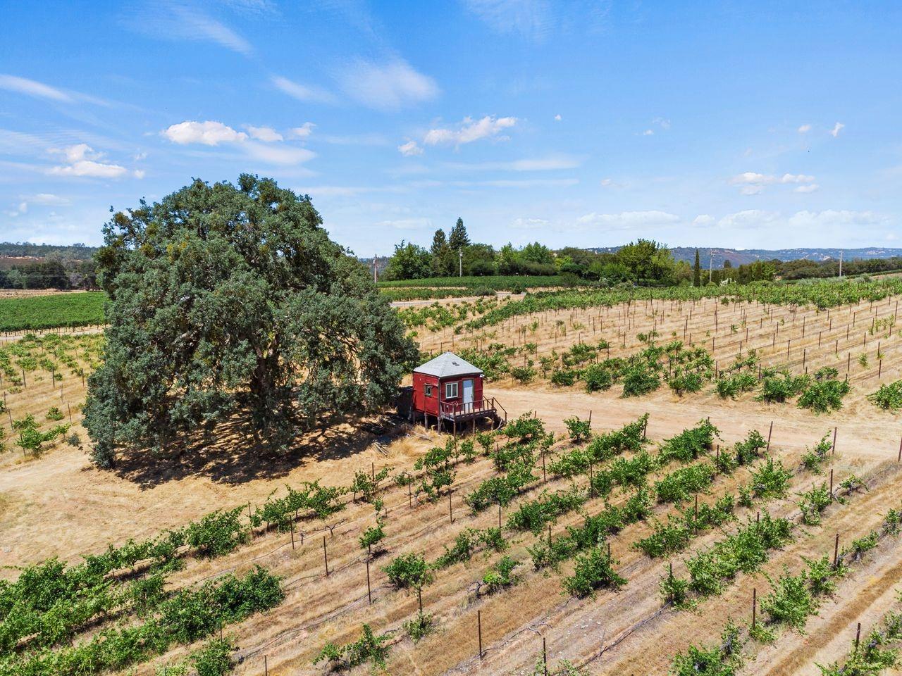 21226 Dickson Road, Plymouth, California, 95669, United States, ,Land,For Sale,21226 Dickson Road,1672447