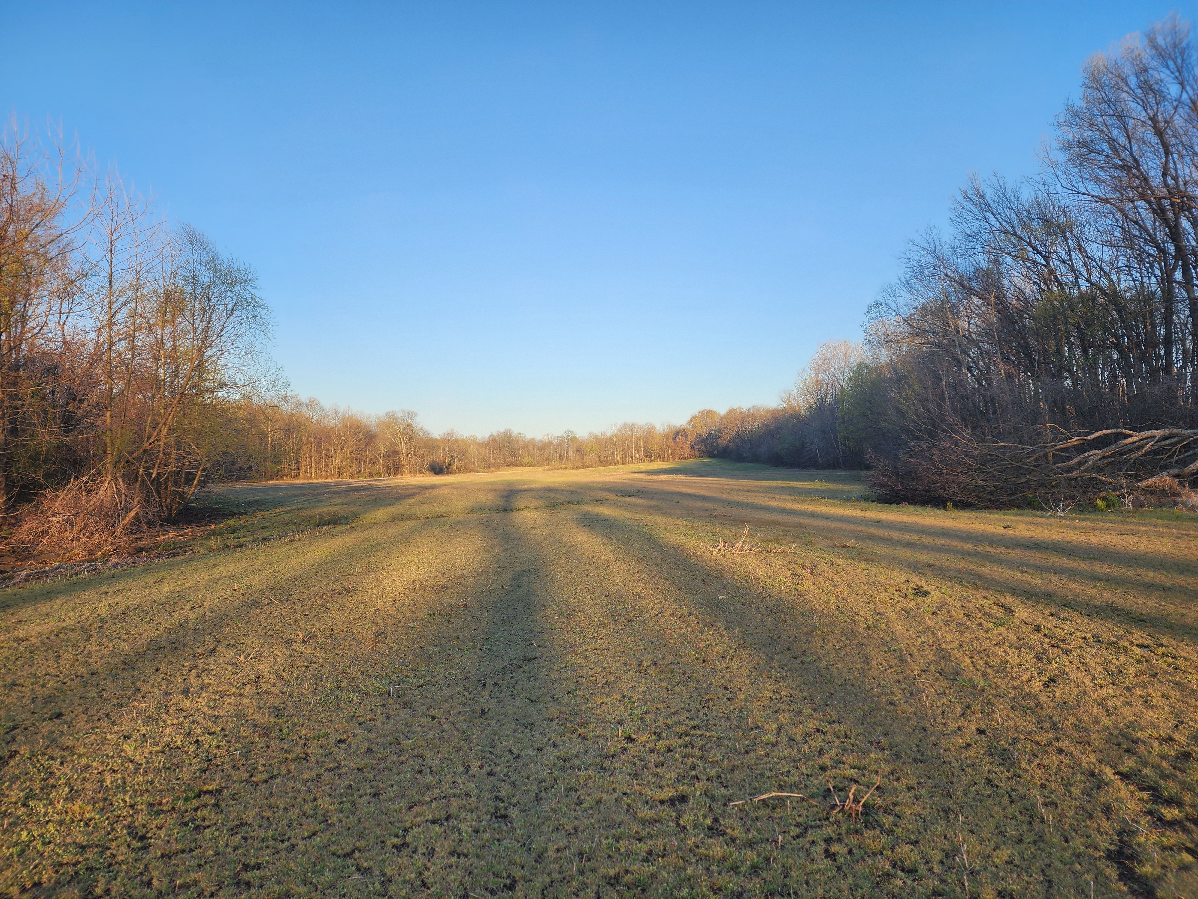 Union City, Tennessee, 38261, United States, ,Land,For Sale,1982811