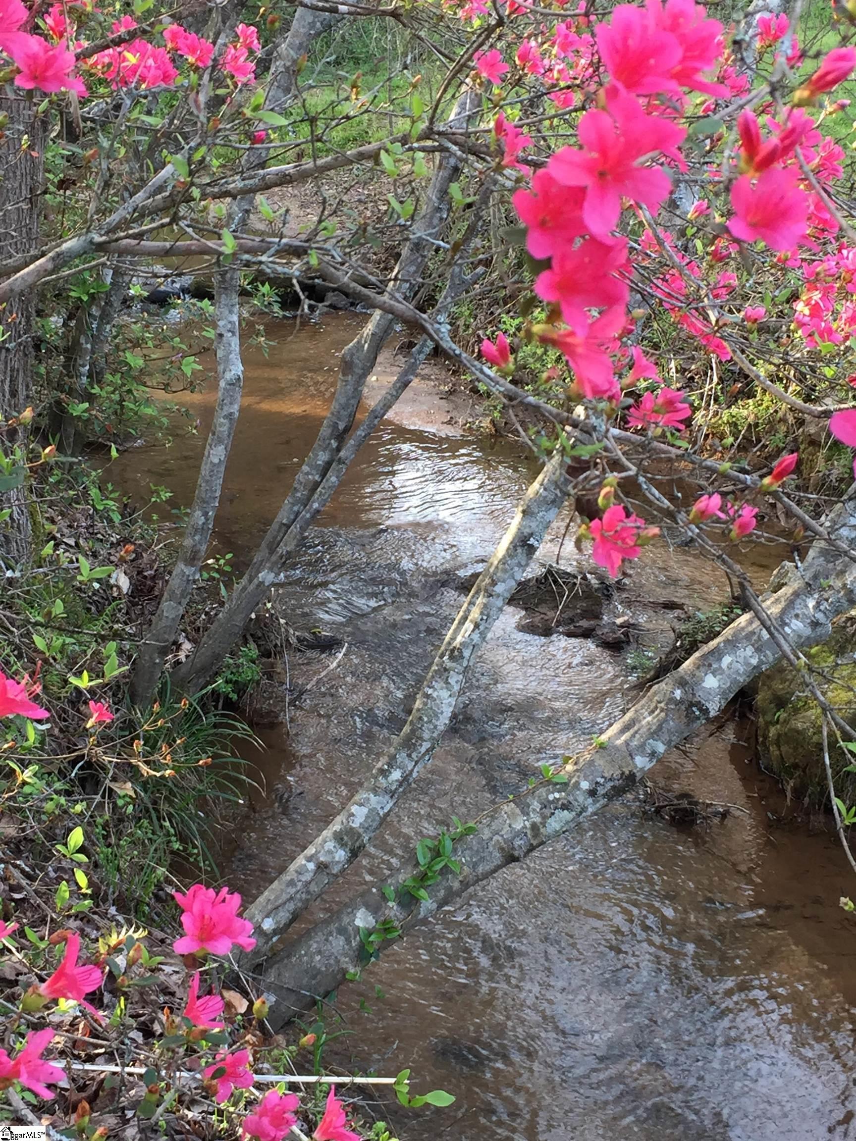 Pickens, South Carolina, 29671, United States, 4 Bedrooms Bedrooms, ,4 BathroomsBathrooms,Residential,For Sale,1975286