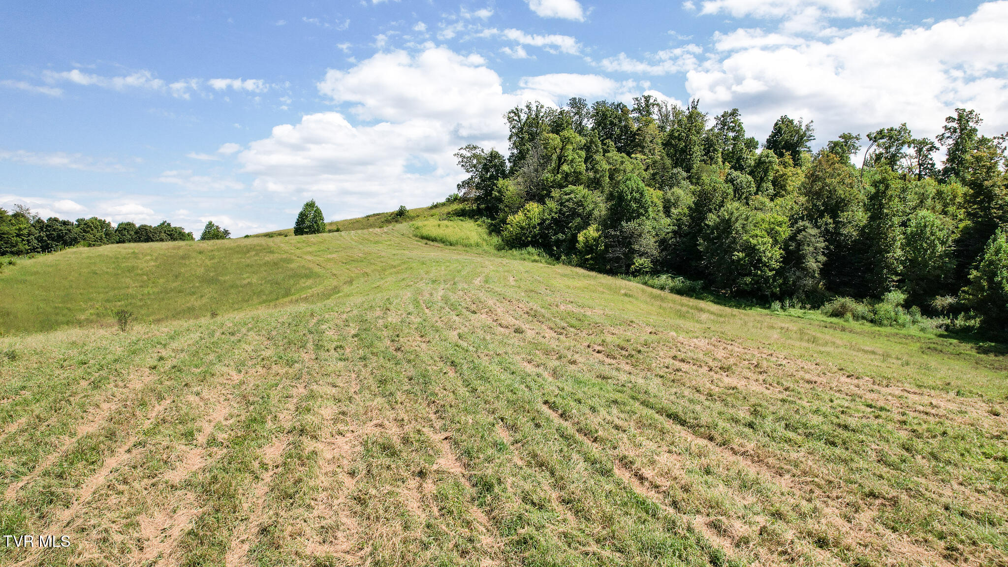 Chuckey, Tennessee, 37641, United States, ,Land,For Sale,1982630