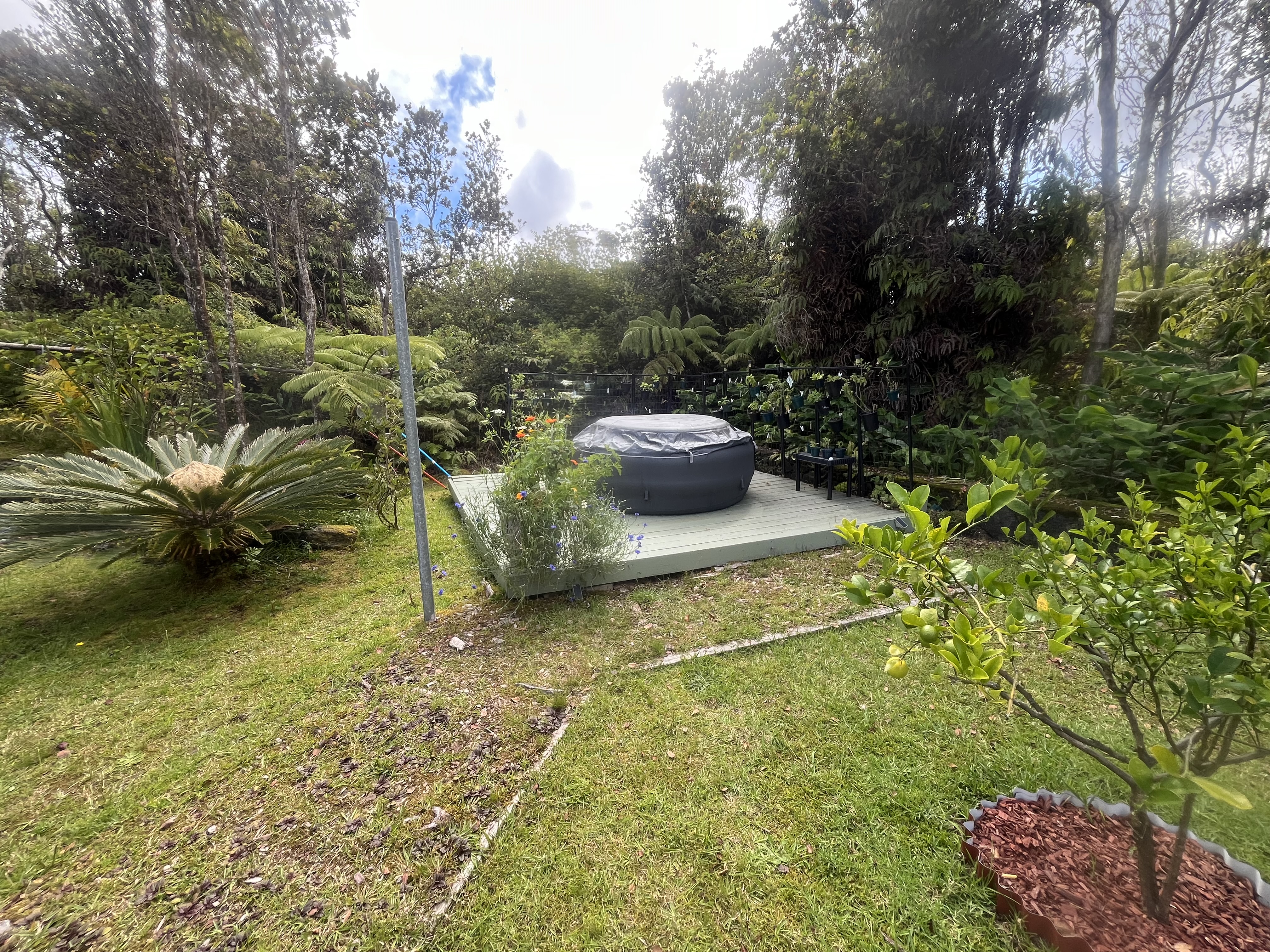 Volcano, Hawaii, 96785, United States, 2 Bedrooms Bedrooms, ,1 BathroomBathrooms,Residential,For Sale,1978172