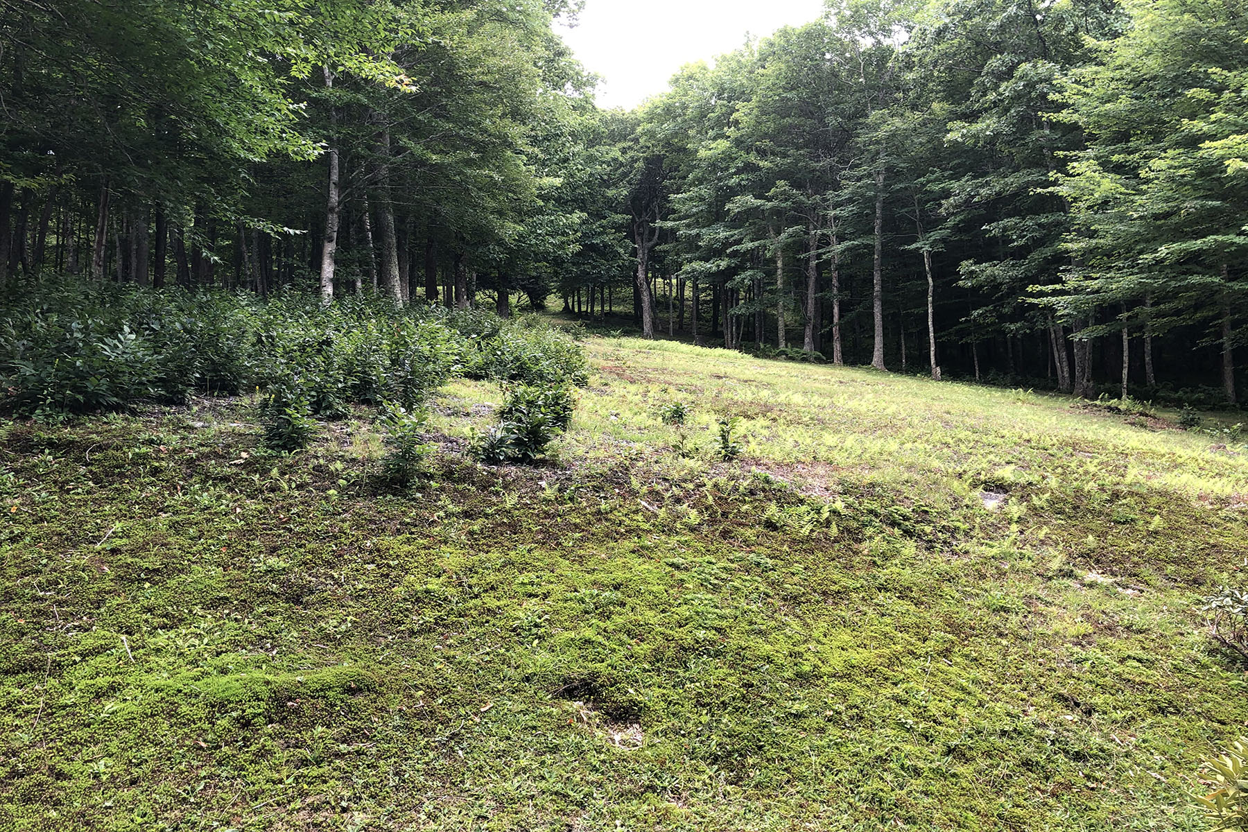  BANNER ELK - ROCKY KNOB - 物件實景