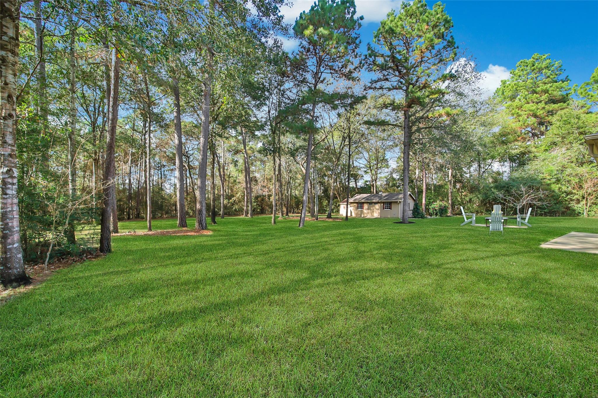 Montgomery, Texas, 77316, United States, 3 Bedrooms Bedrooms, ,3 BathroomsBathrooms,Residential,For Sale,2008866