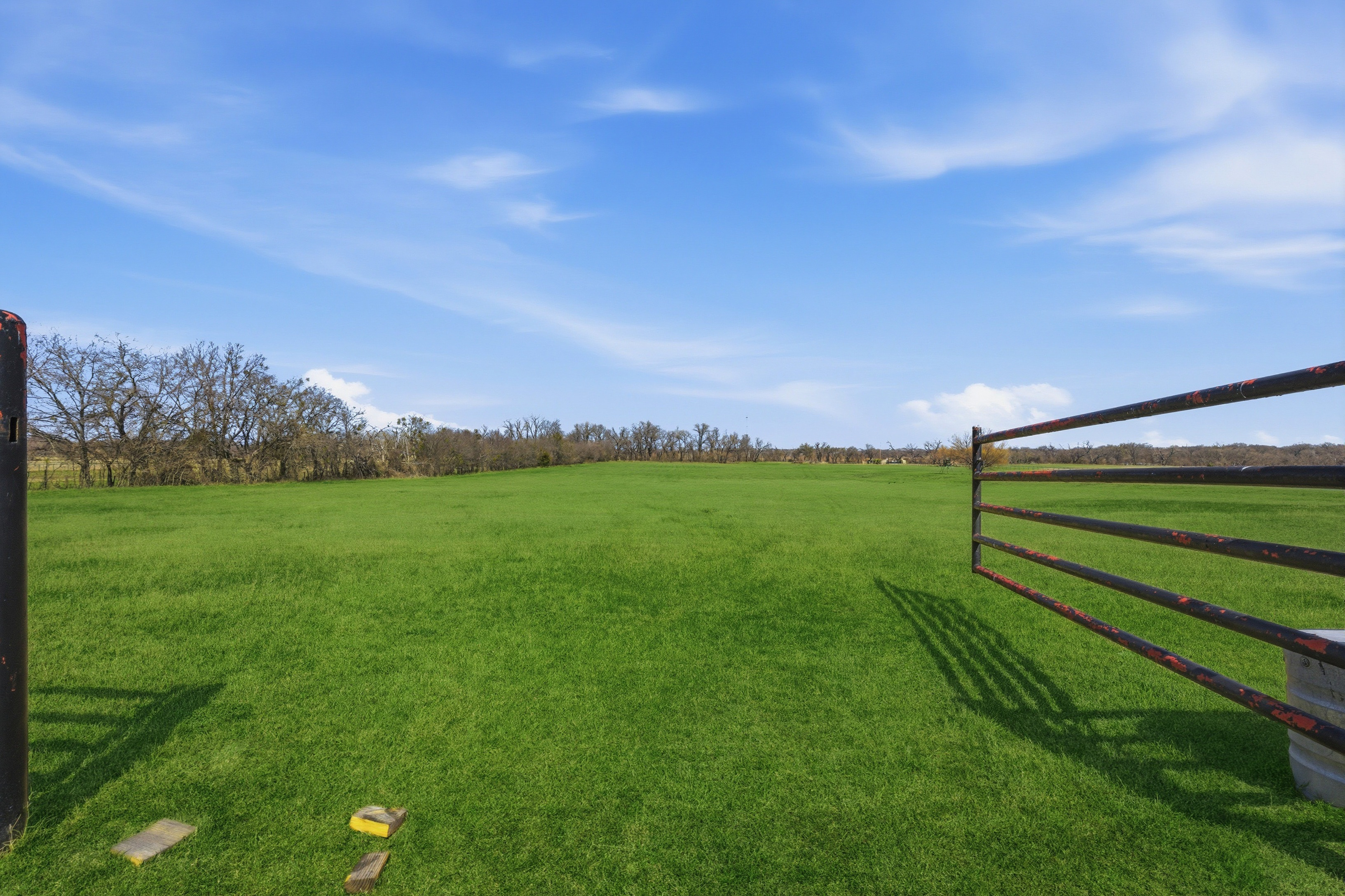  129 Trinity Bluffs, Aledo, TX, 76008 - 物件實景