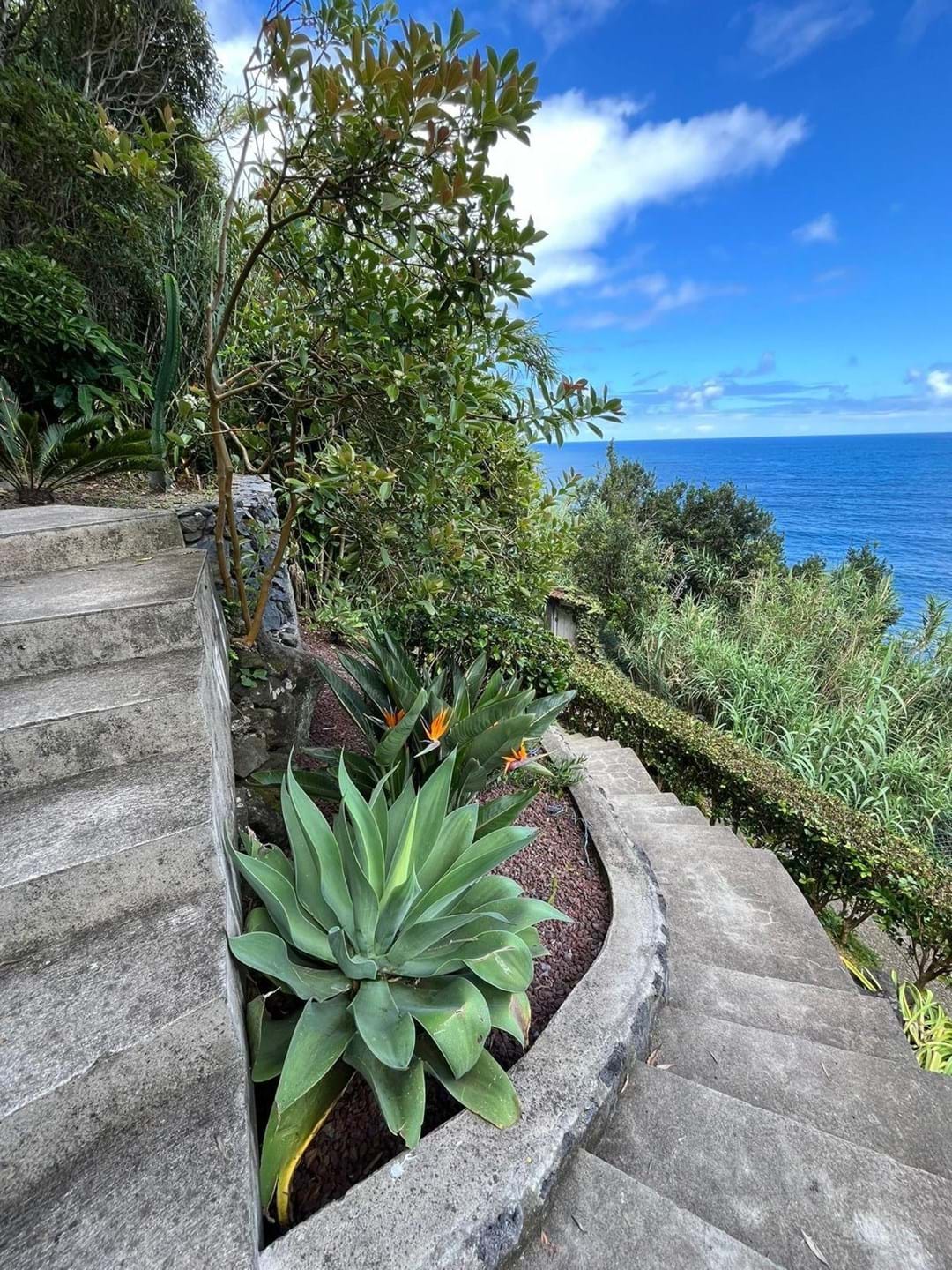 Nordeste, Ilha de São Miguel, PT, 3 Bedrooms Bedrooms, ,3 BathroomsBathrooms,Residential,For Sale,1882460