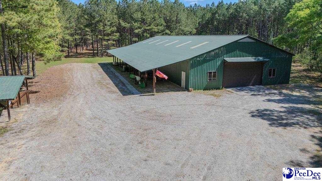 1315 Hill Harrell Road, Effingham, South Carolina, 29541-3179, United States, ,Land,For Sale,1315 Hill Harrell Road,1501598