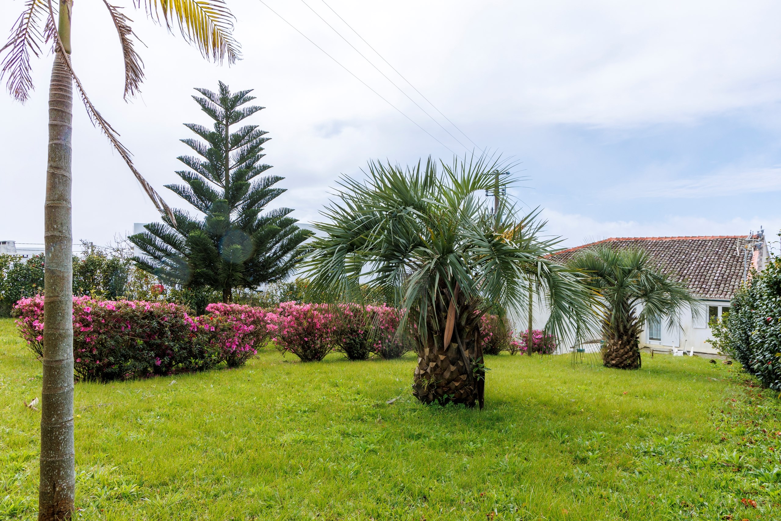 Vila Franca do Campo, Ilha de São Miguel, 9680-460, PT, 7 Bedrooms Bedrooms, ,7 BathroomsBathrooms,Residential,For Sale,1948896