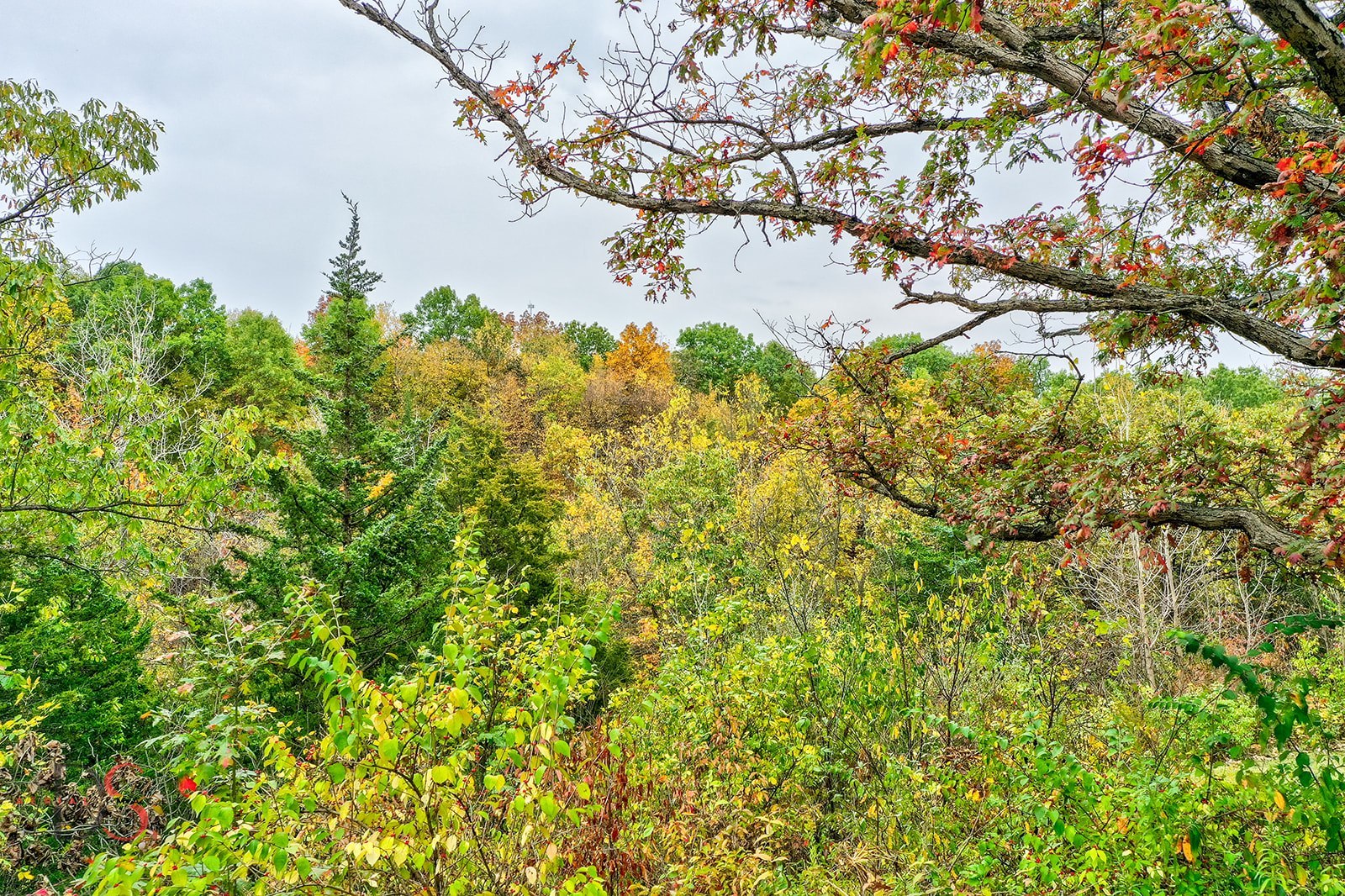 Marseilles, Illinois, 61341, United States, 4 Bedrooms Bedrooms, ,3 BathroomsBathrooms,Residential,For Sale,1970434