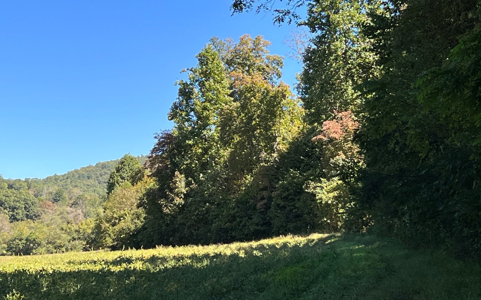 Hayesville, North Carolina, 28904, United States, ,Residential,For Sale,1943293
