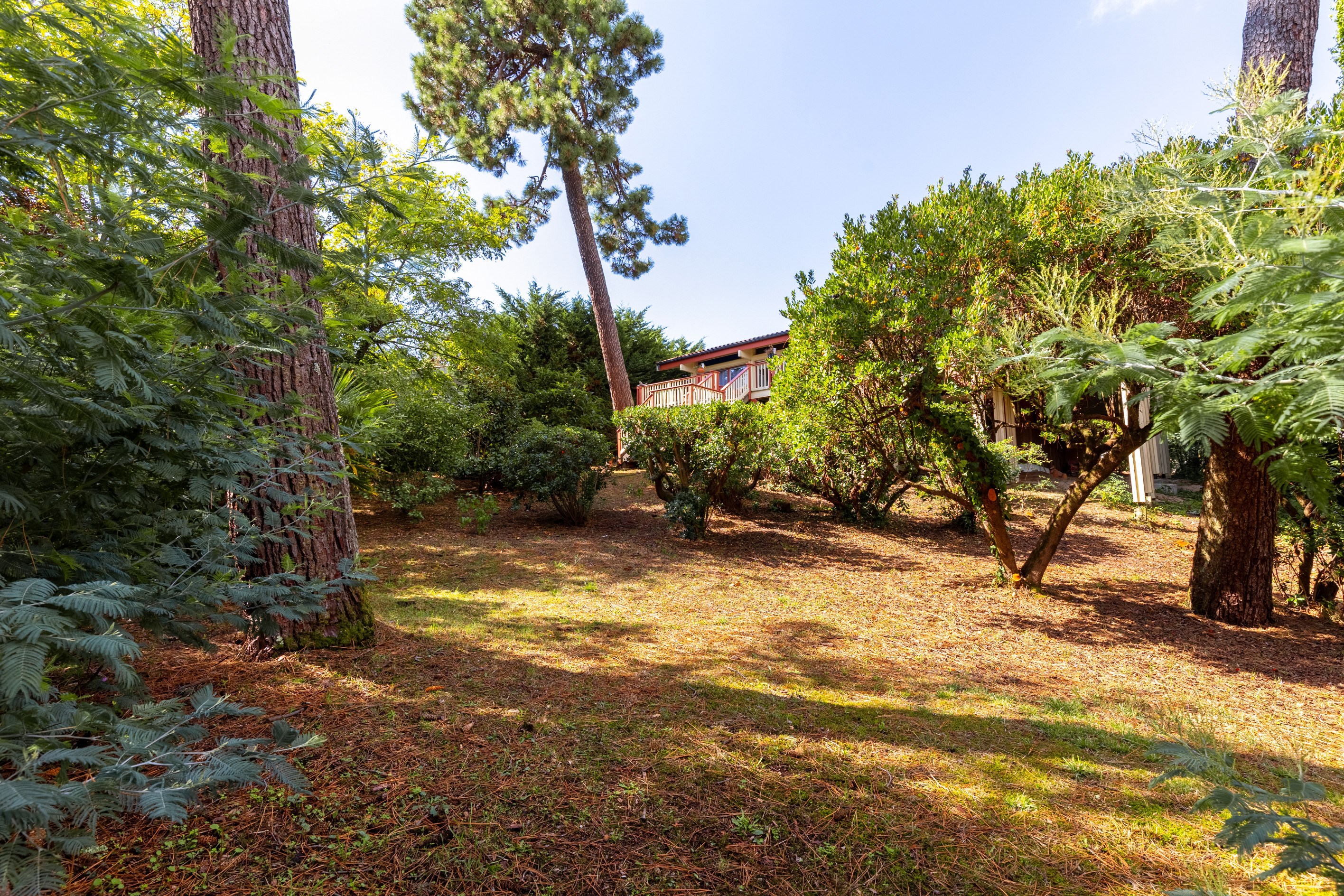  CAP FERRET PENINSULA - ARCHITECT-DESIGNED VILLA WITH VIEW OF THE BASSIN D