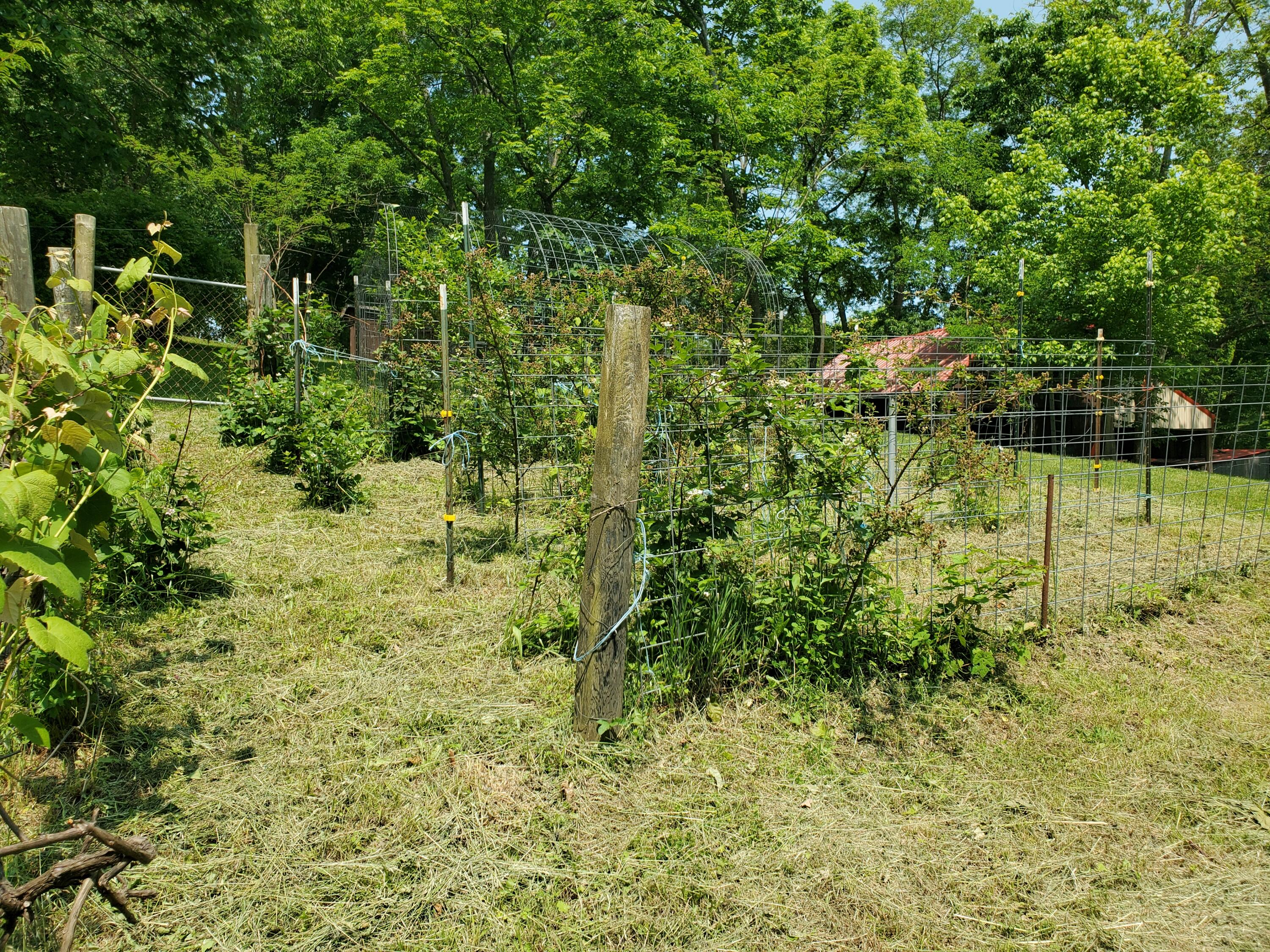 Sadieville, Kentucky, 40370, United States, 4 Bedrooms Bedrooms, ,3 BathroomsBathrooms,Residential,For Sale,1839886