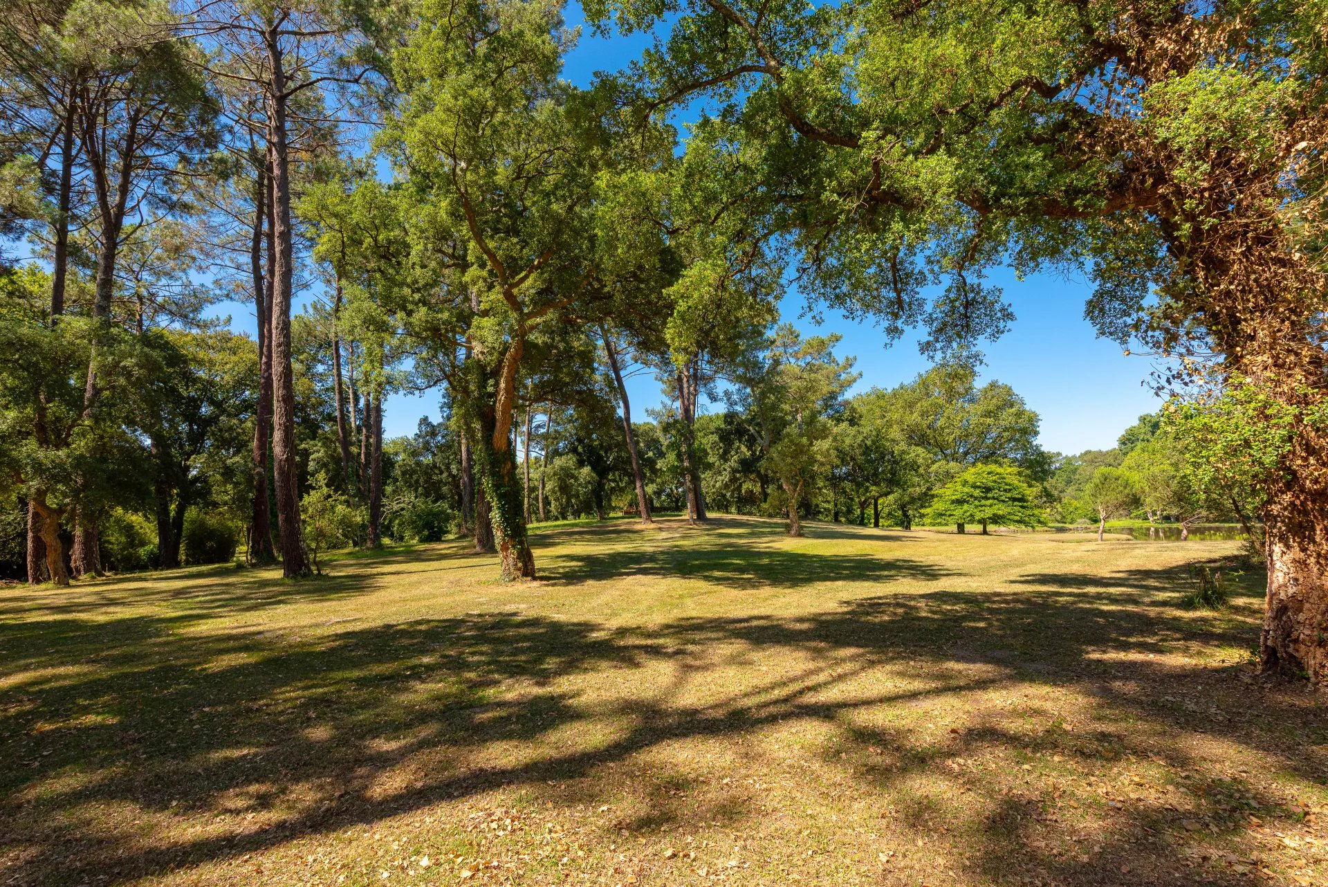 Angresse, New Aquitaine, 40150, FR, ,Residential,For Sale,1996845