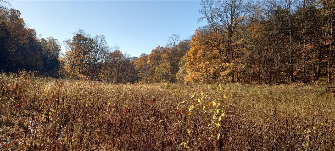 Willow Shade, Kentucky, 42166, United States, 3 Bedrooms Bedrooms, ,2 BathroomsBathrooms,Residential,For Sale,1991903