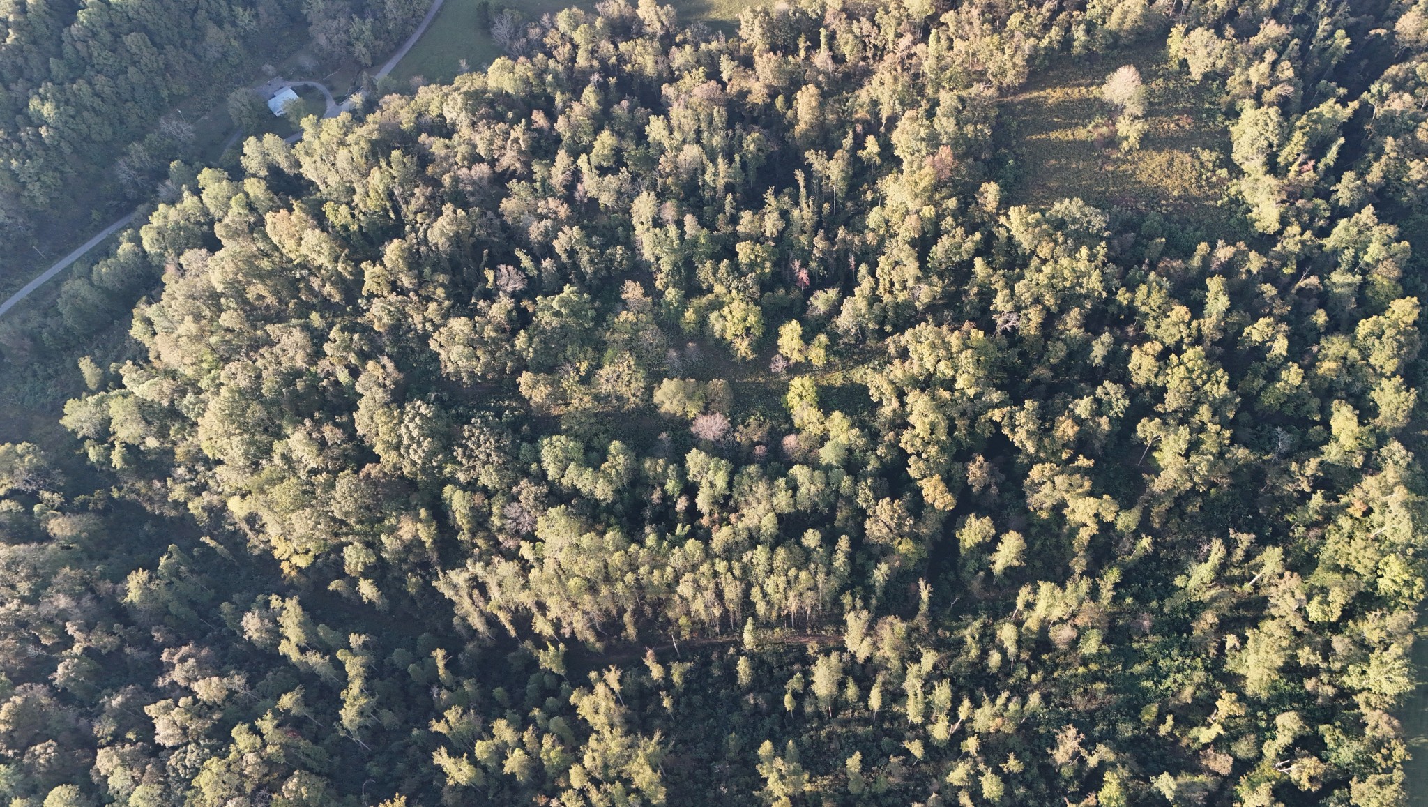 Lynchburg, Tennessee, 37388, United States, ,Land,For Sale,1982223